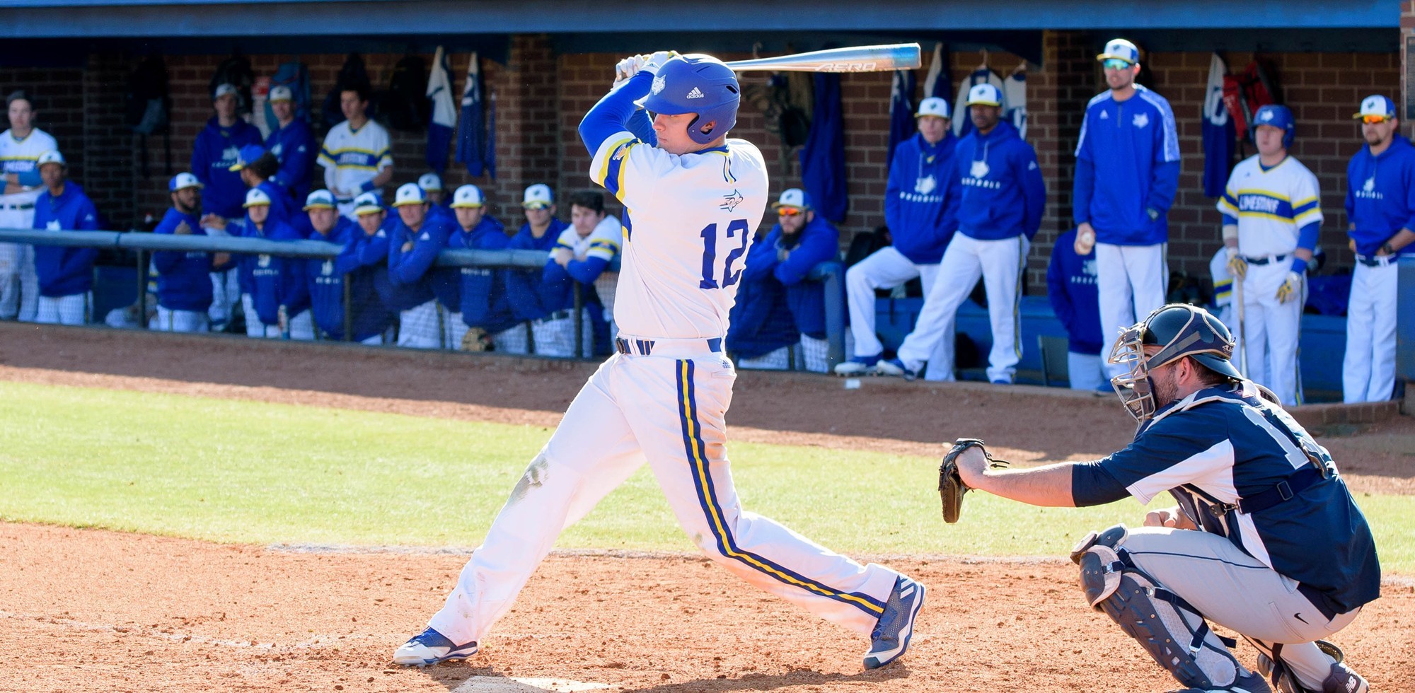 Matt Orth Baseball Limestone University Athletics