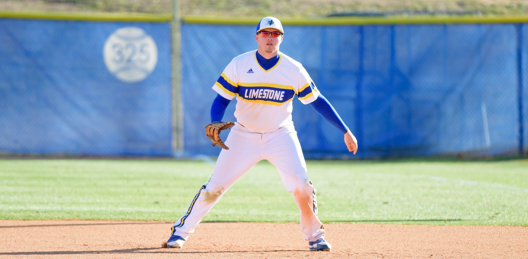 Matt Orth Baseball Limestone University Athletics