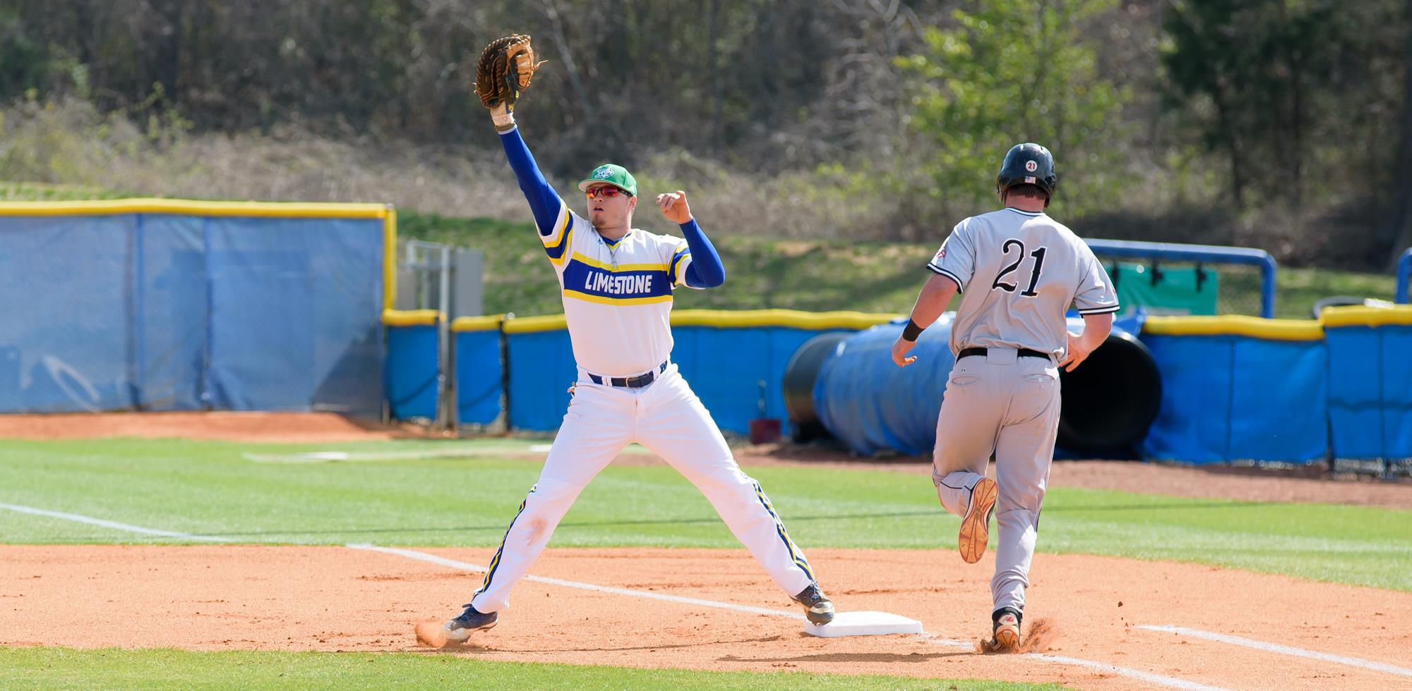 Matt Orth Baseball Limestone University Athletics