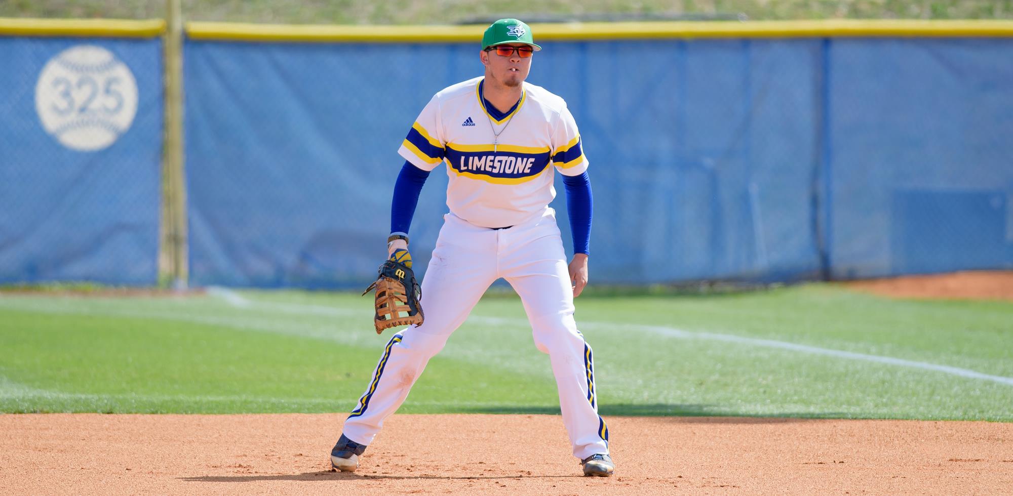 Matt Orth Baseball Limestone University Athletics
