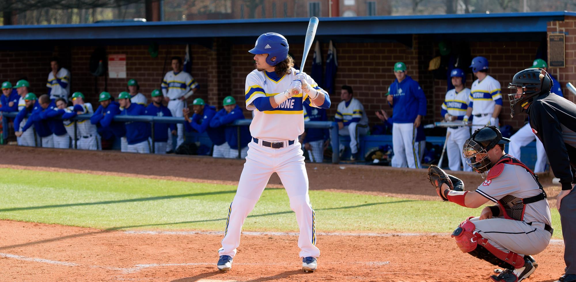 Brandon Etheridge Baseball Limestone University Athletics