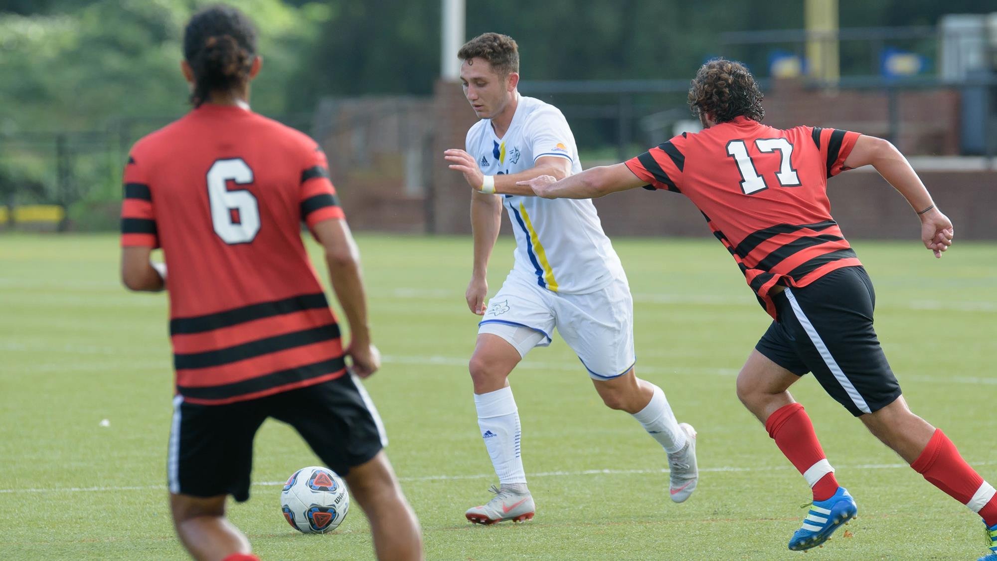 Daniel Grek Men's Soccer Limestone University Athletics