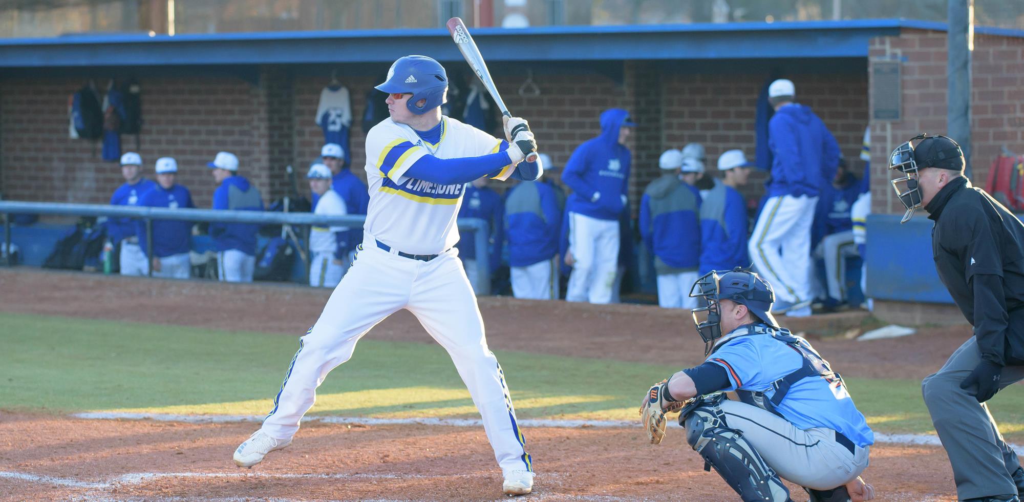 Matt Orth Baseball Limestone University Athletics