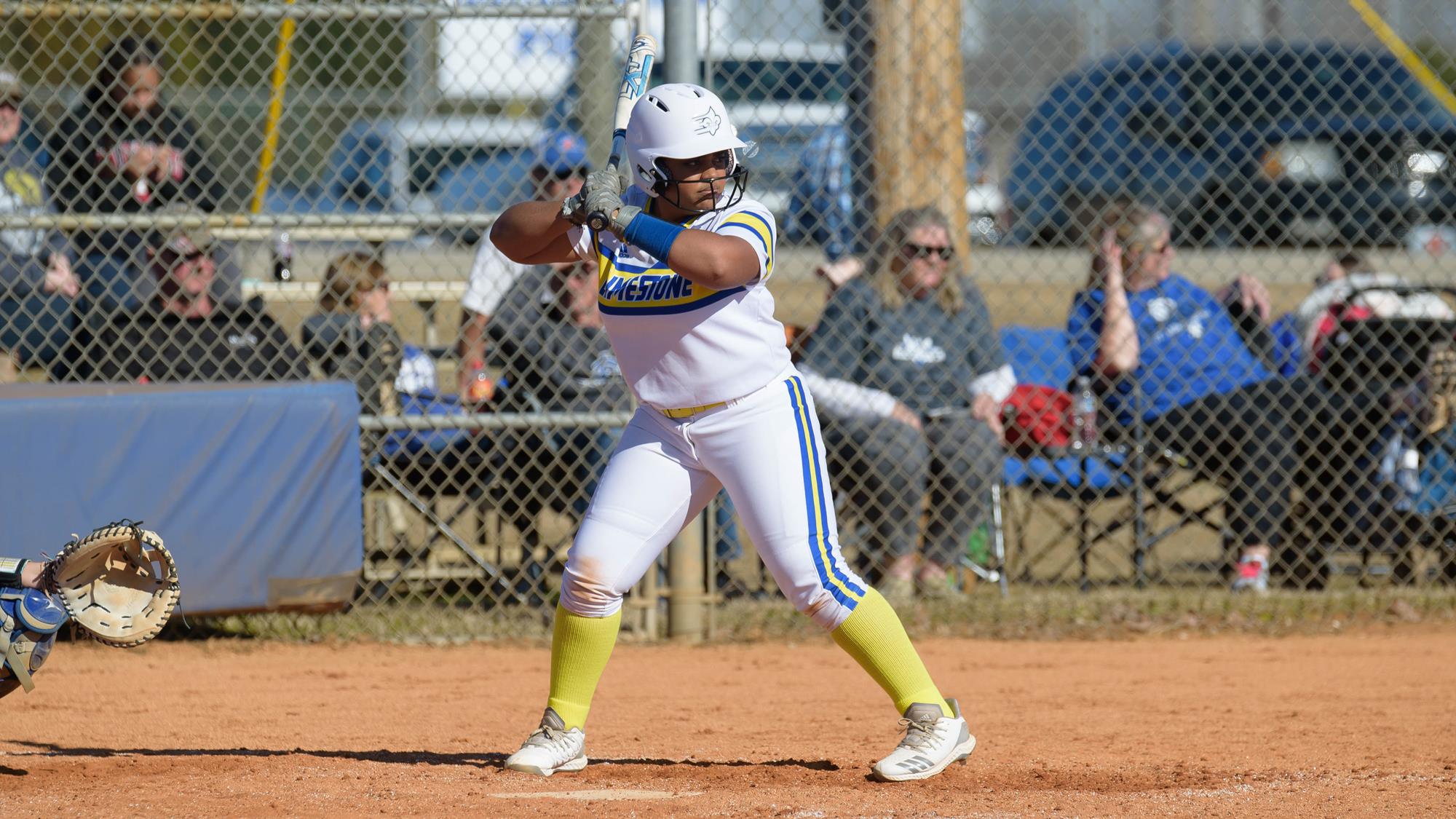 Marli Hanks Softball Limestone University Athletics