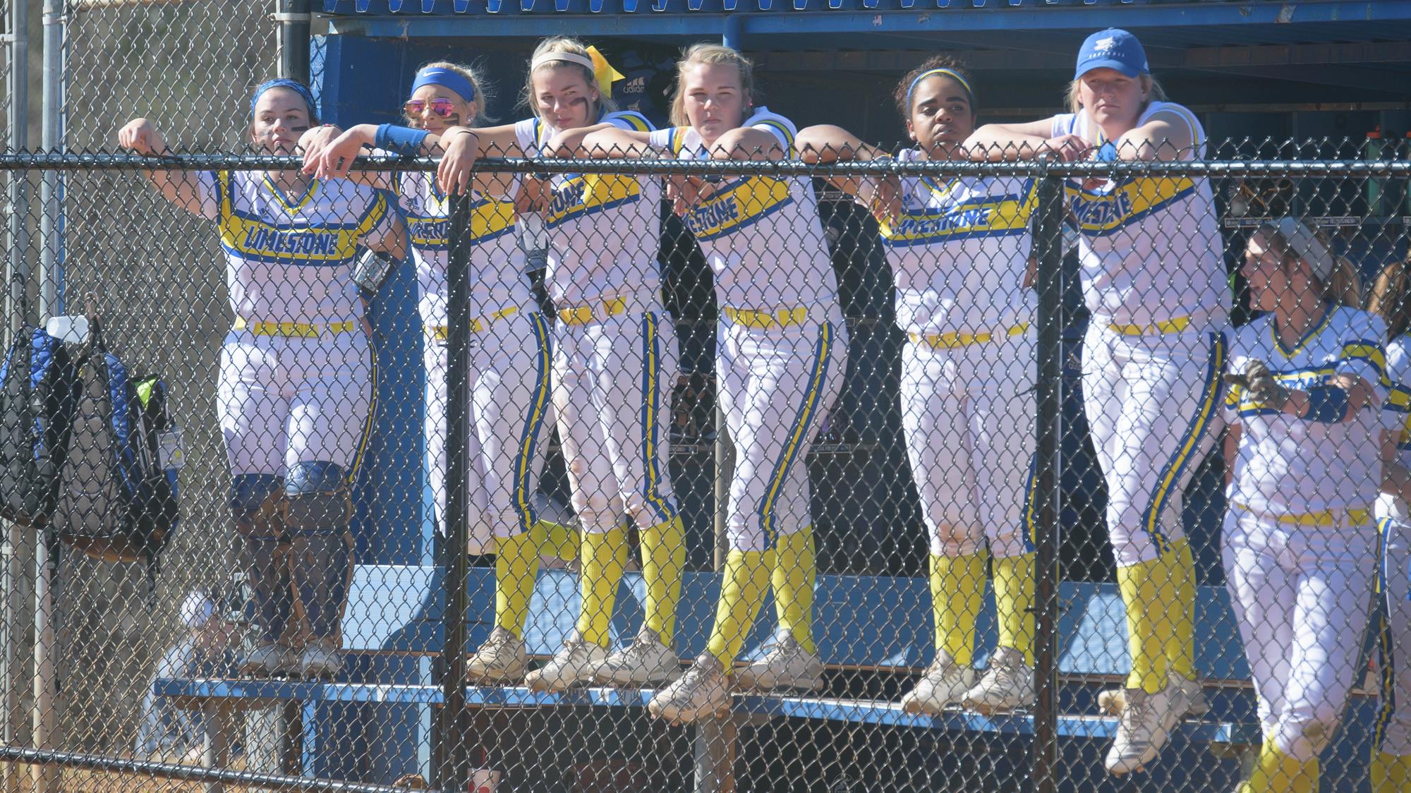 Marli Hanks Softball Limestone University Athletics