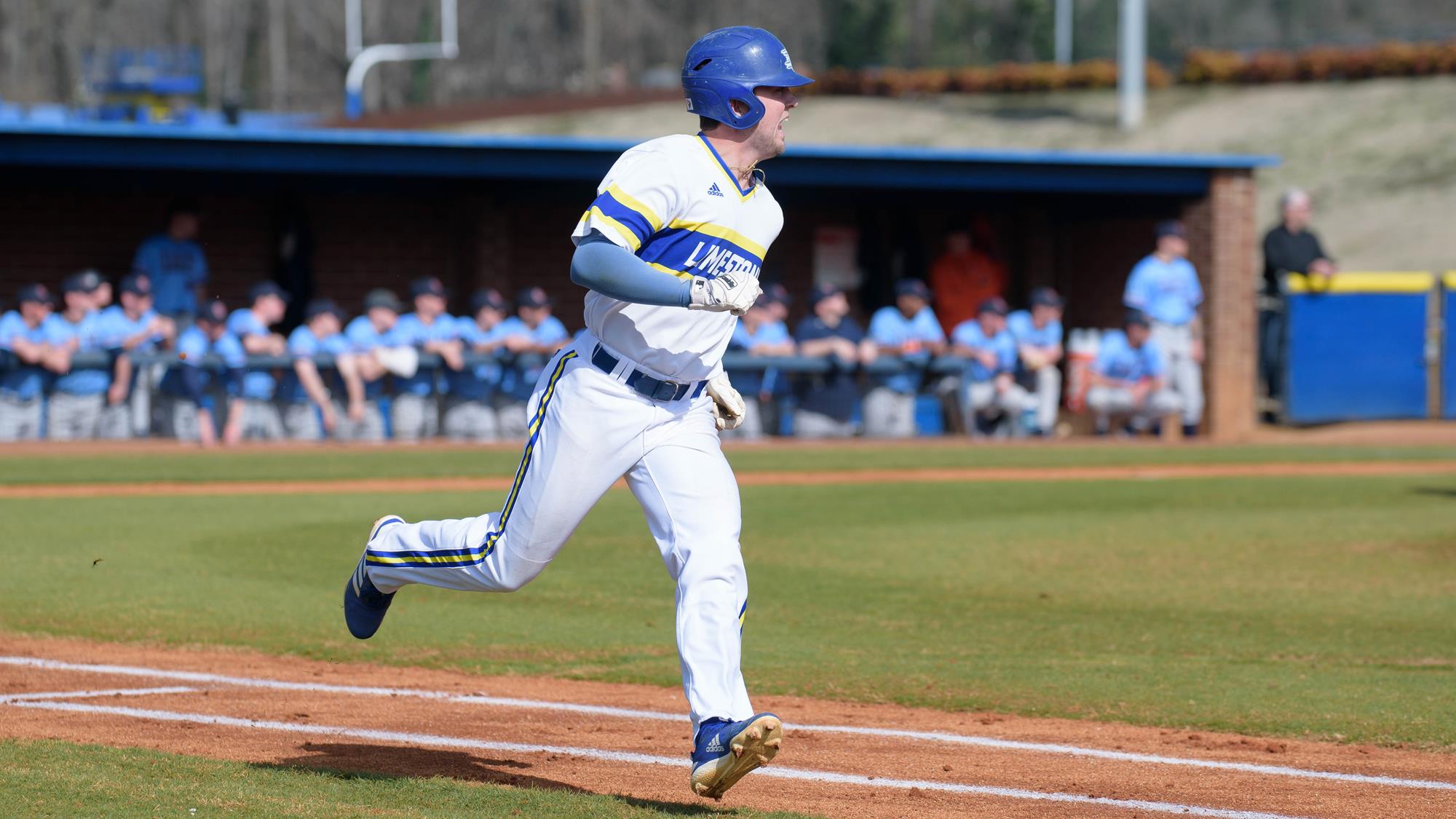 Ryan Creps Baseball Limestone University Athletics
