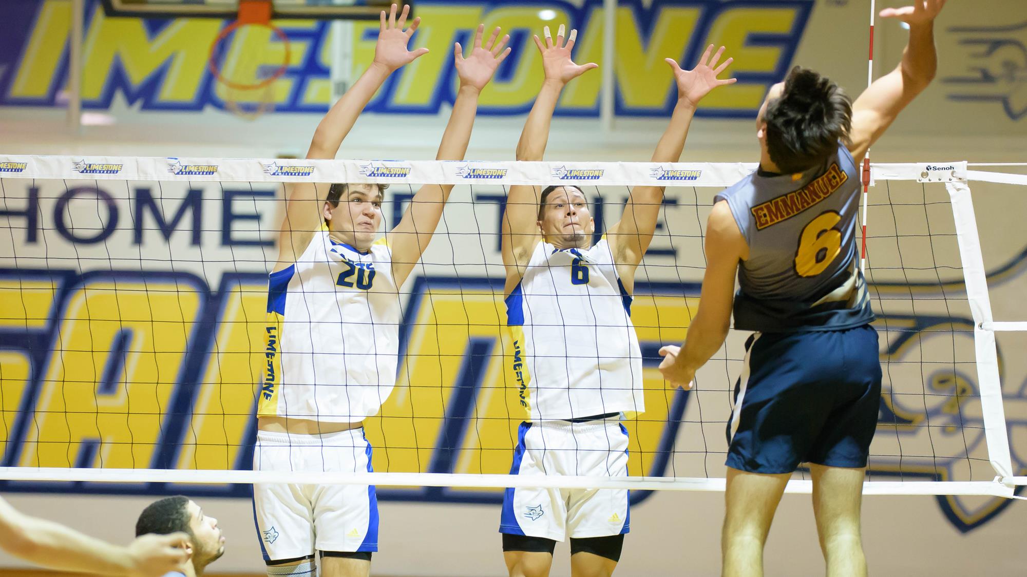 Jon Igo Men's Volleyball Limestone University Athletics