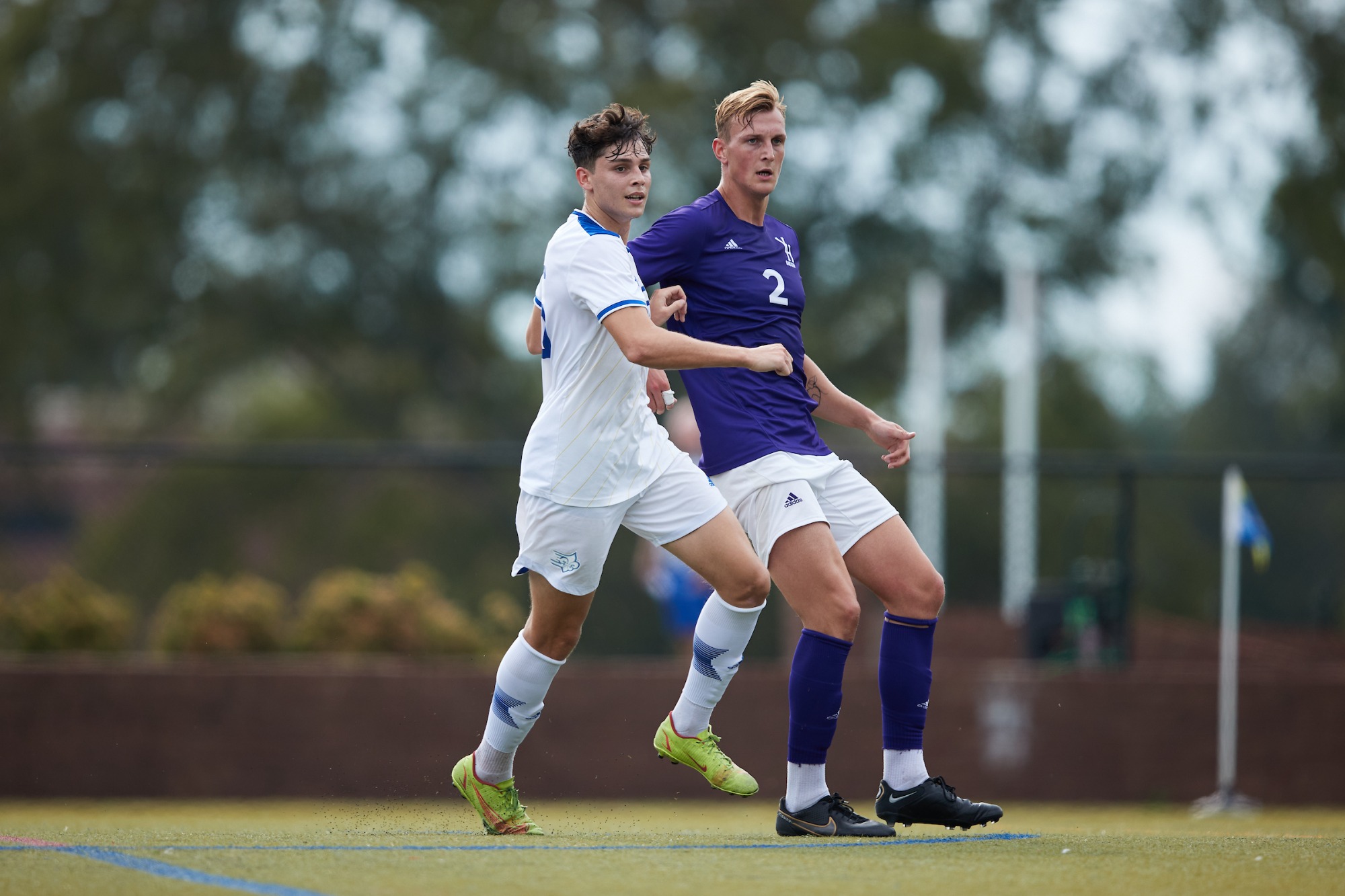 Men's Soccer Dropped by Catawba, 43 Limestone University Athletics