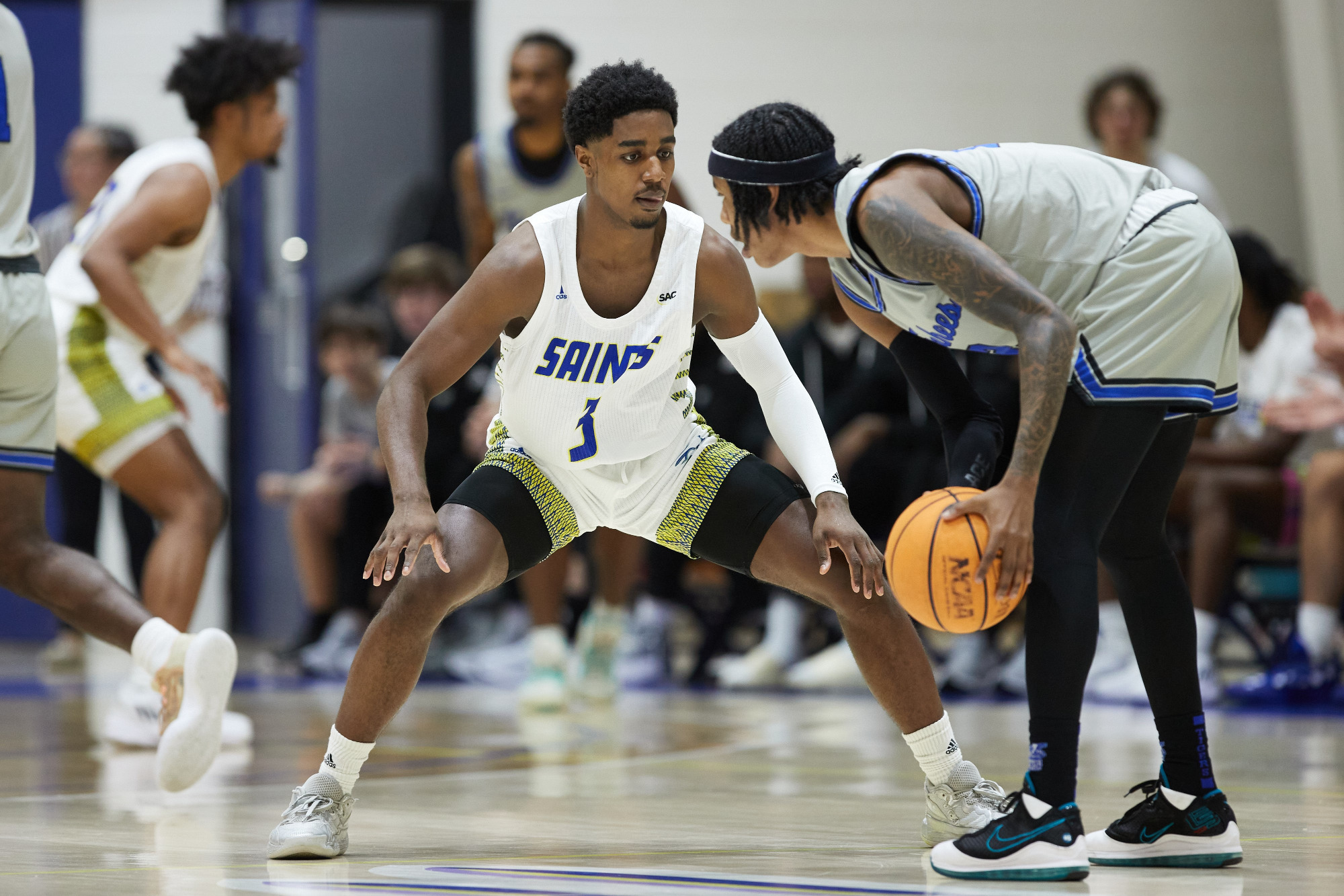 Ferkel Teleskop Sauerstoff graham basketball Überwachung Sand Nachbarschaft