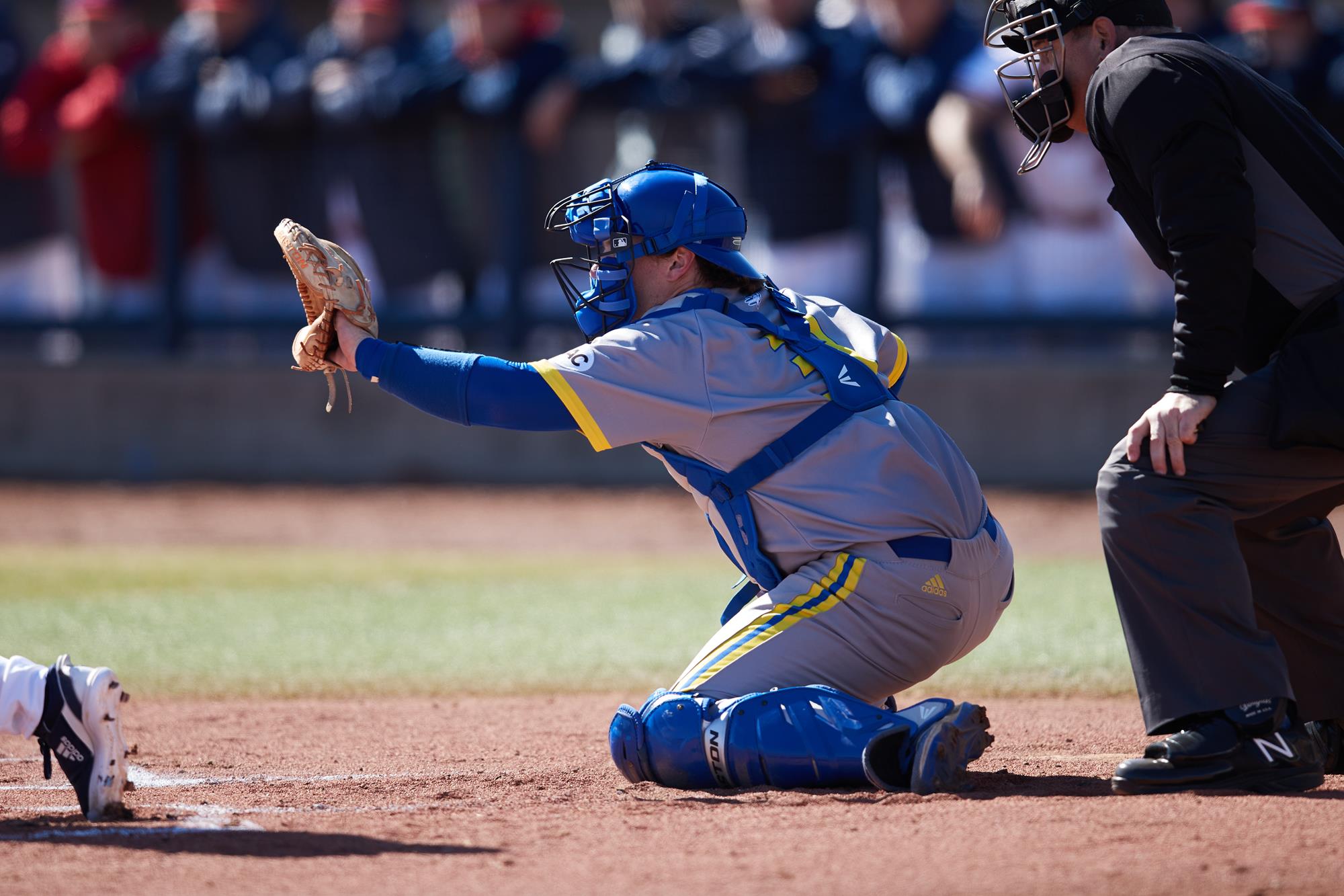 James MacCallum Baseball Limestone University Athletics