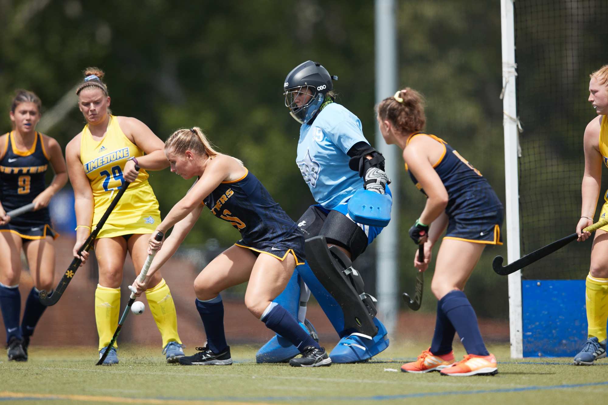 Antoney Labuschagne Field Hockey Limestone University Athletics