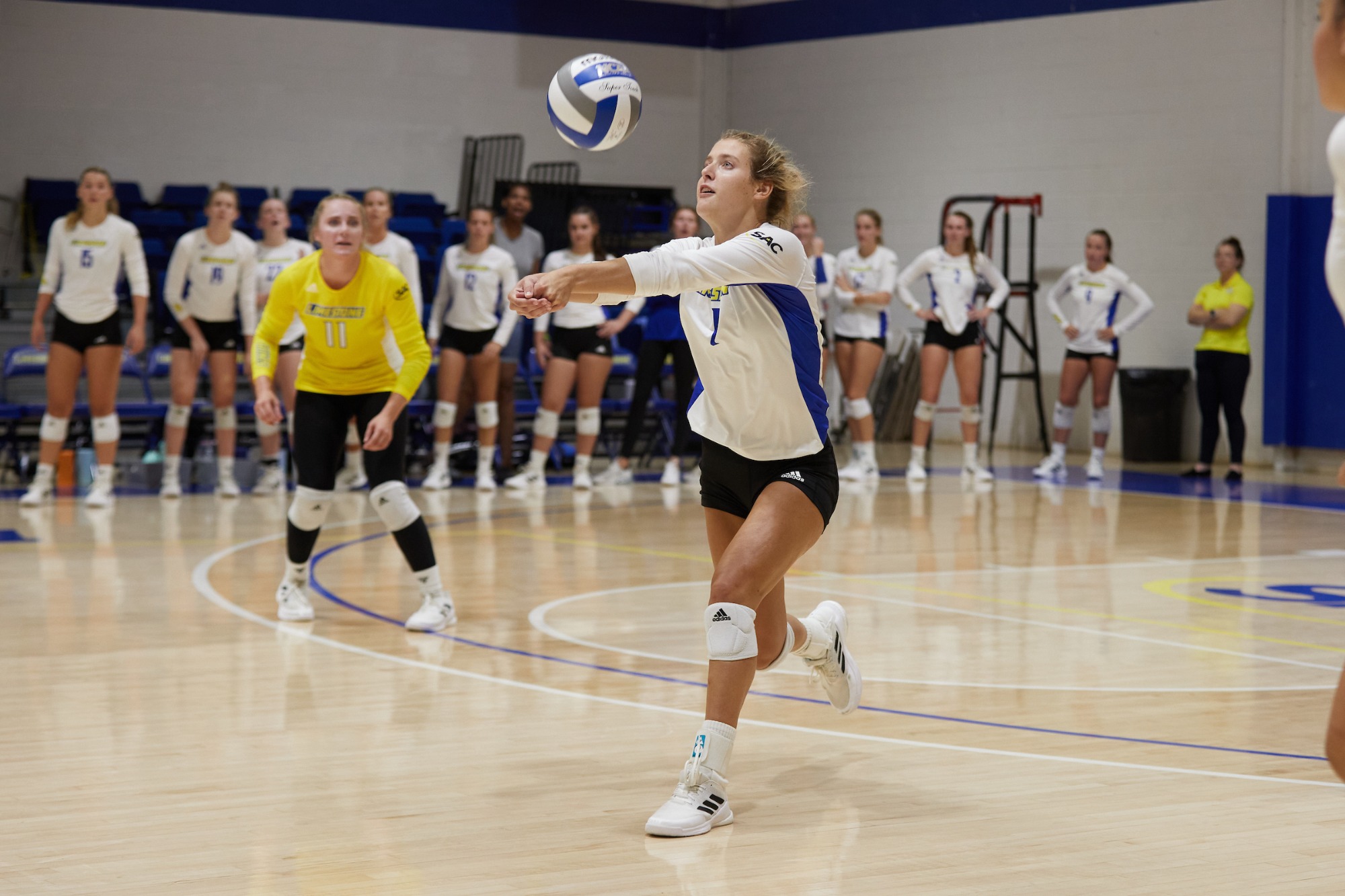 Mia McMillen Women's Volleyball Limestone University Athletics