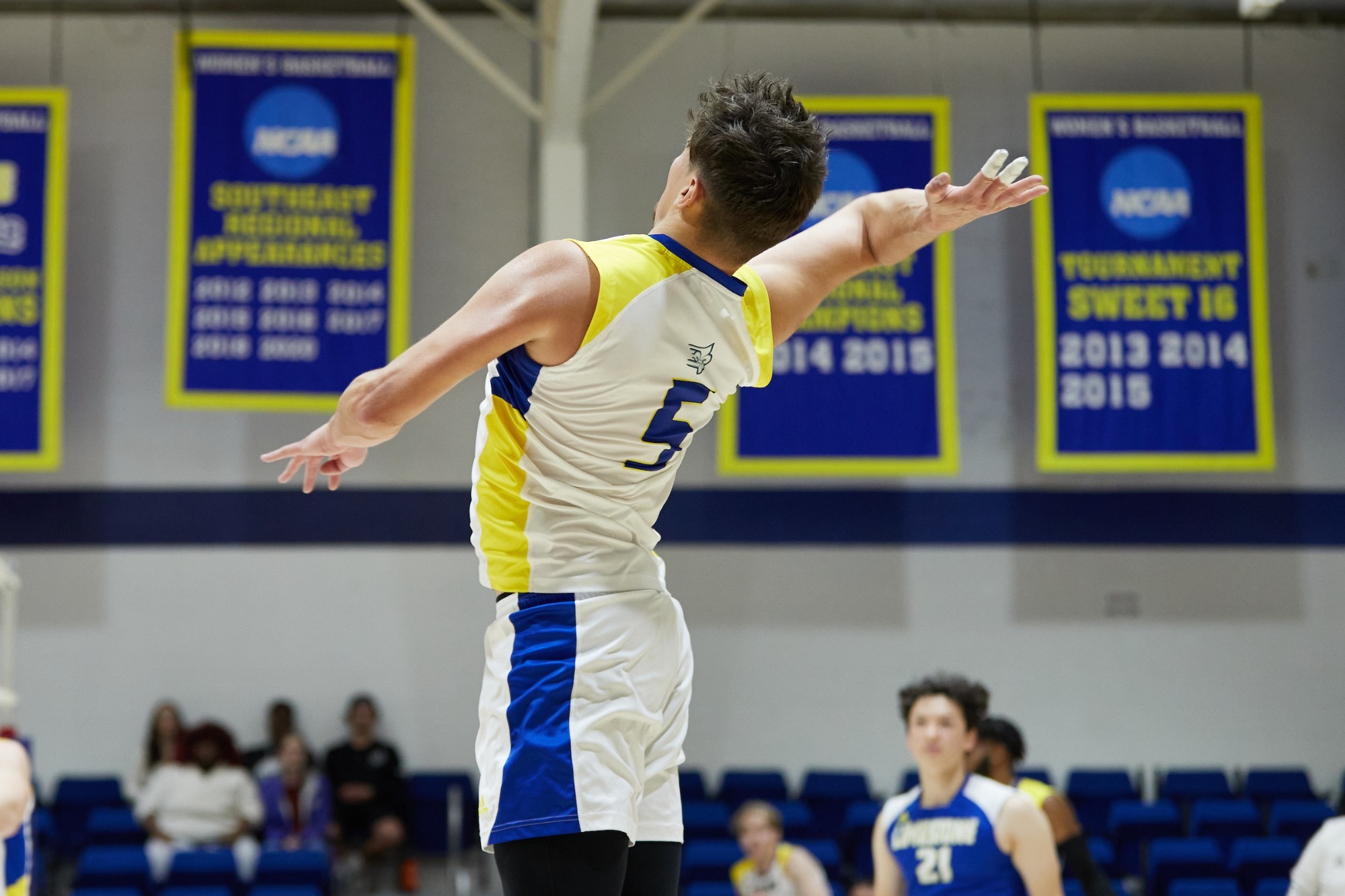 Albert Warzocha Men's Volleyball Limestone University Athletics