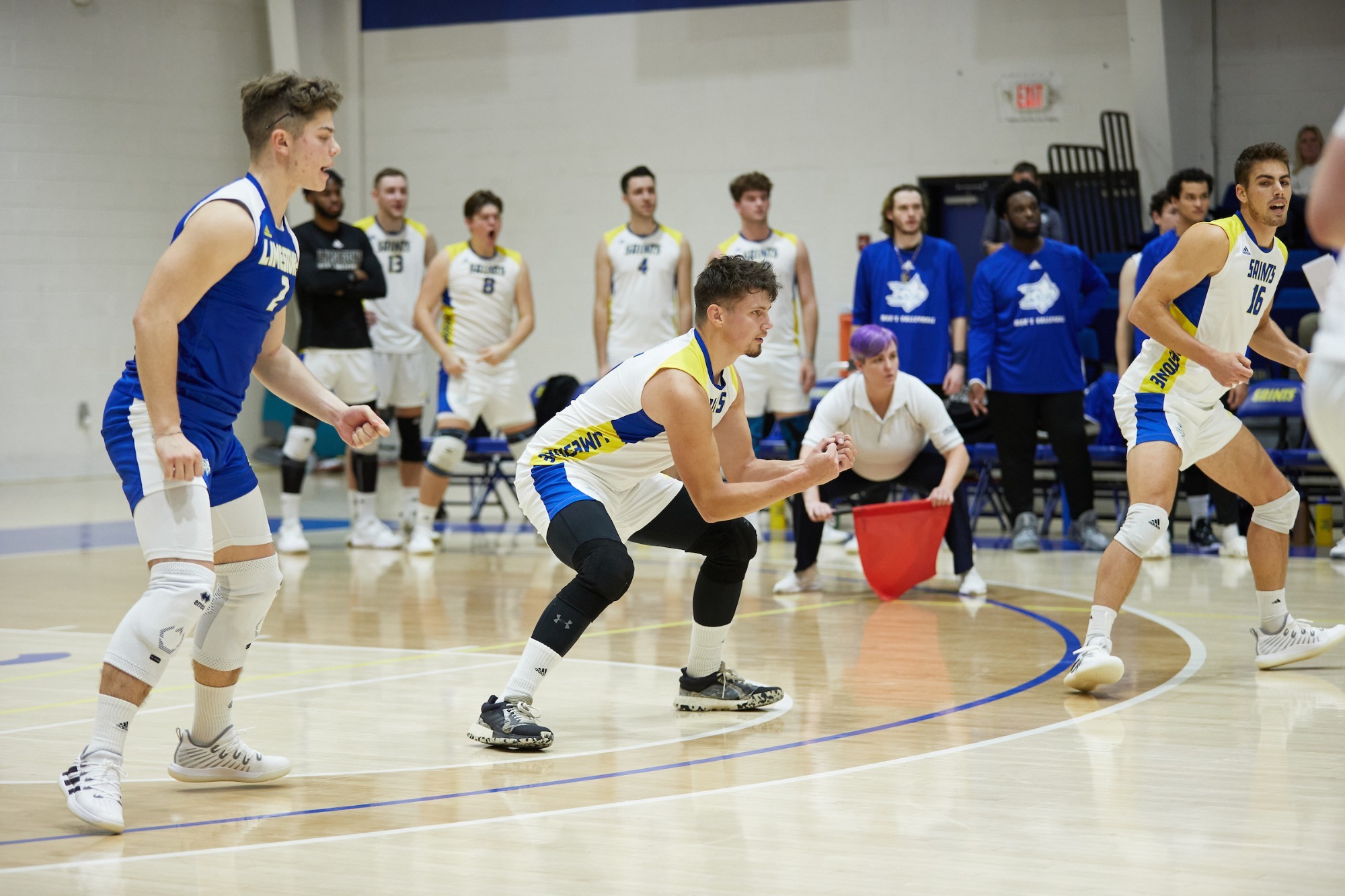 Men's Volleyball Sweeps Tusculum Limestone University Athletics