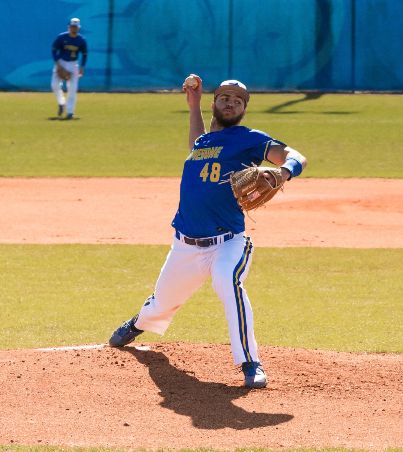 Limestone Opens Three Game Set Against Coker With a Loss, 43