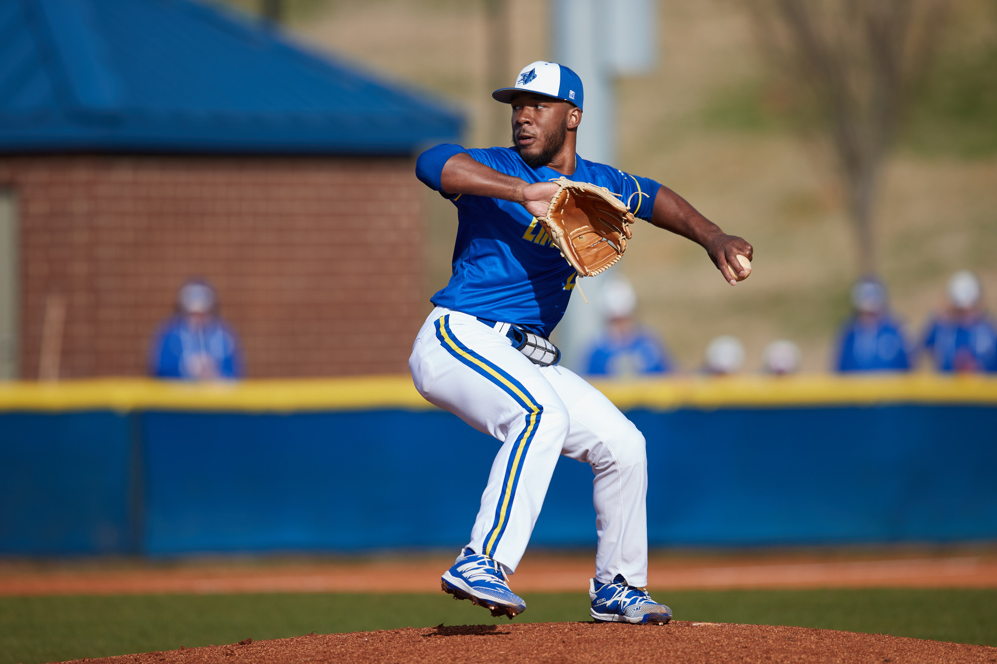James Deloatch Baseball Limestone University Athletics