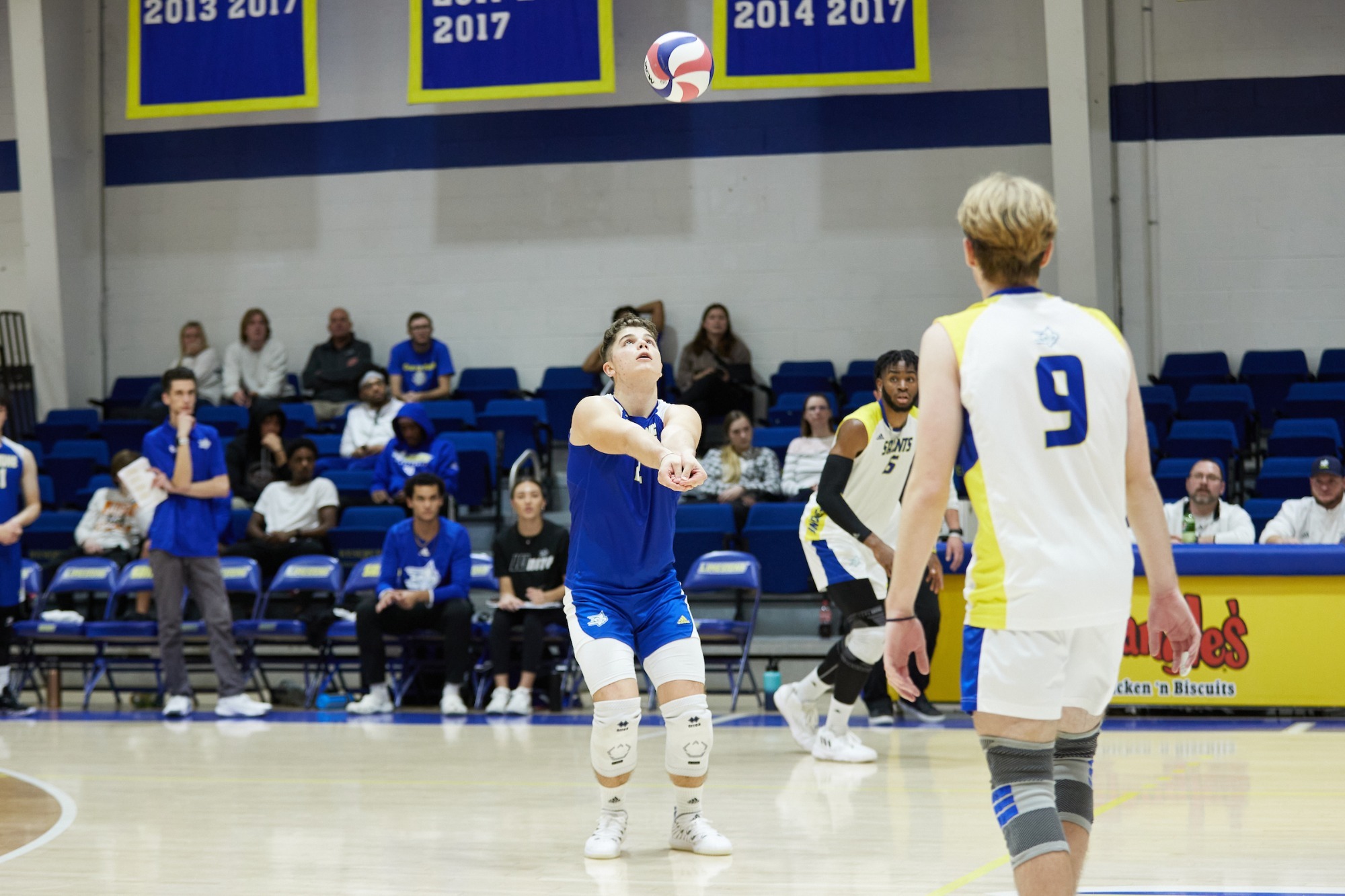 Jakub Wiaderny Men's Volleyball Limestone University Athletics