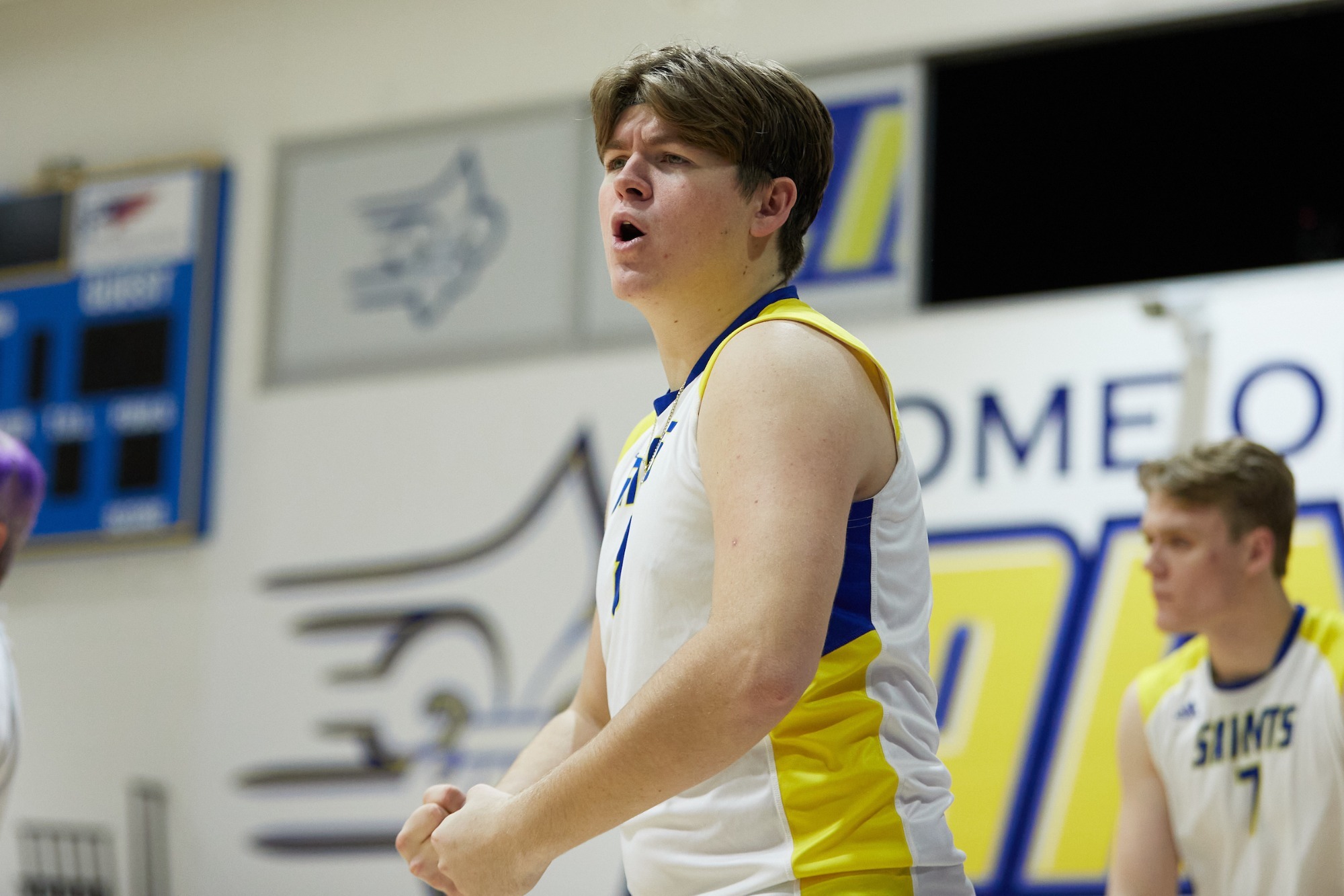 Matt McIntyre Men's Volleyball Limestone University Athletics