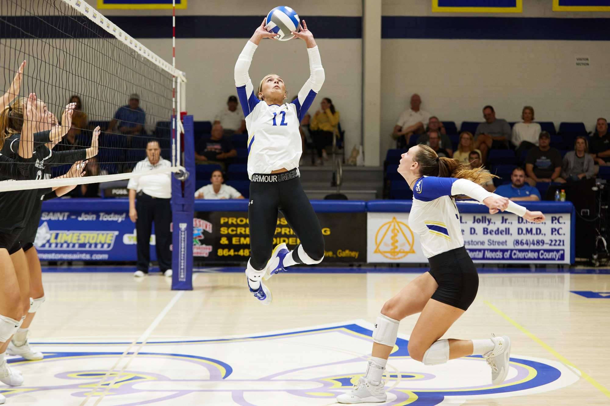 Kamden Dalton Women's Volleyball Limestone University Athletics