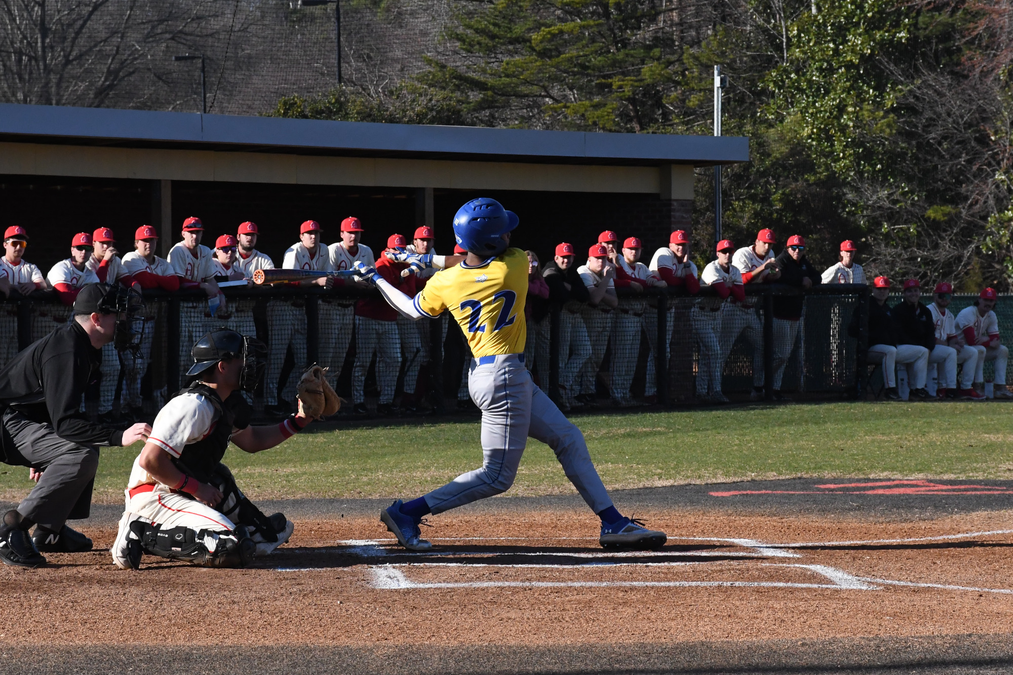 Winston Parke Baseball Limestone University Athletics