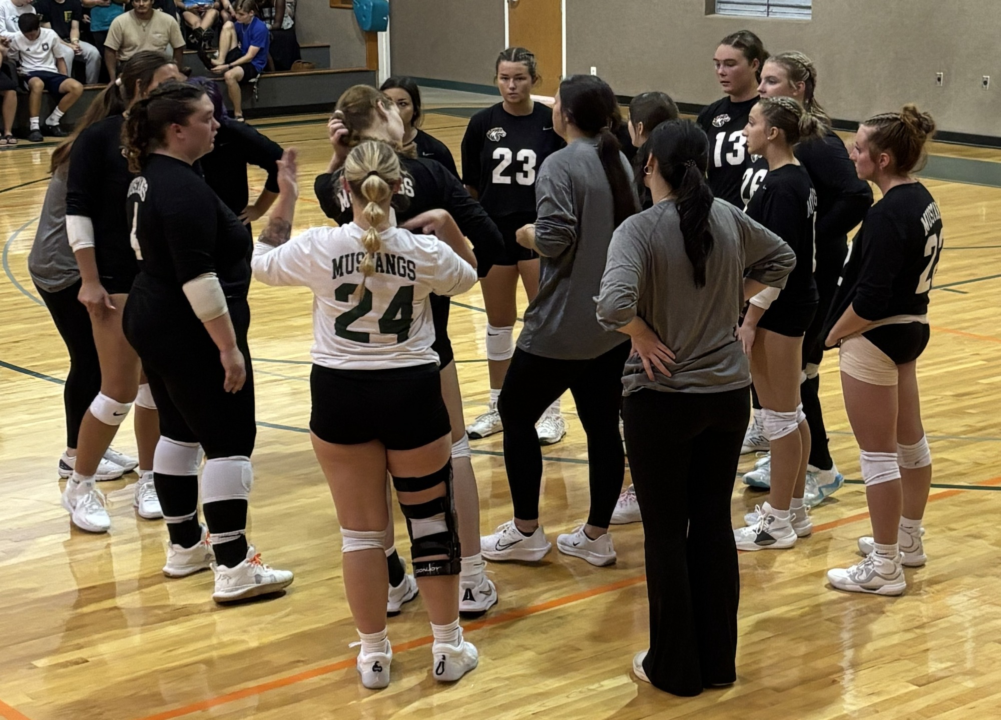 vb team