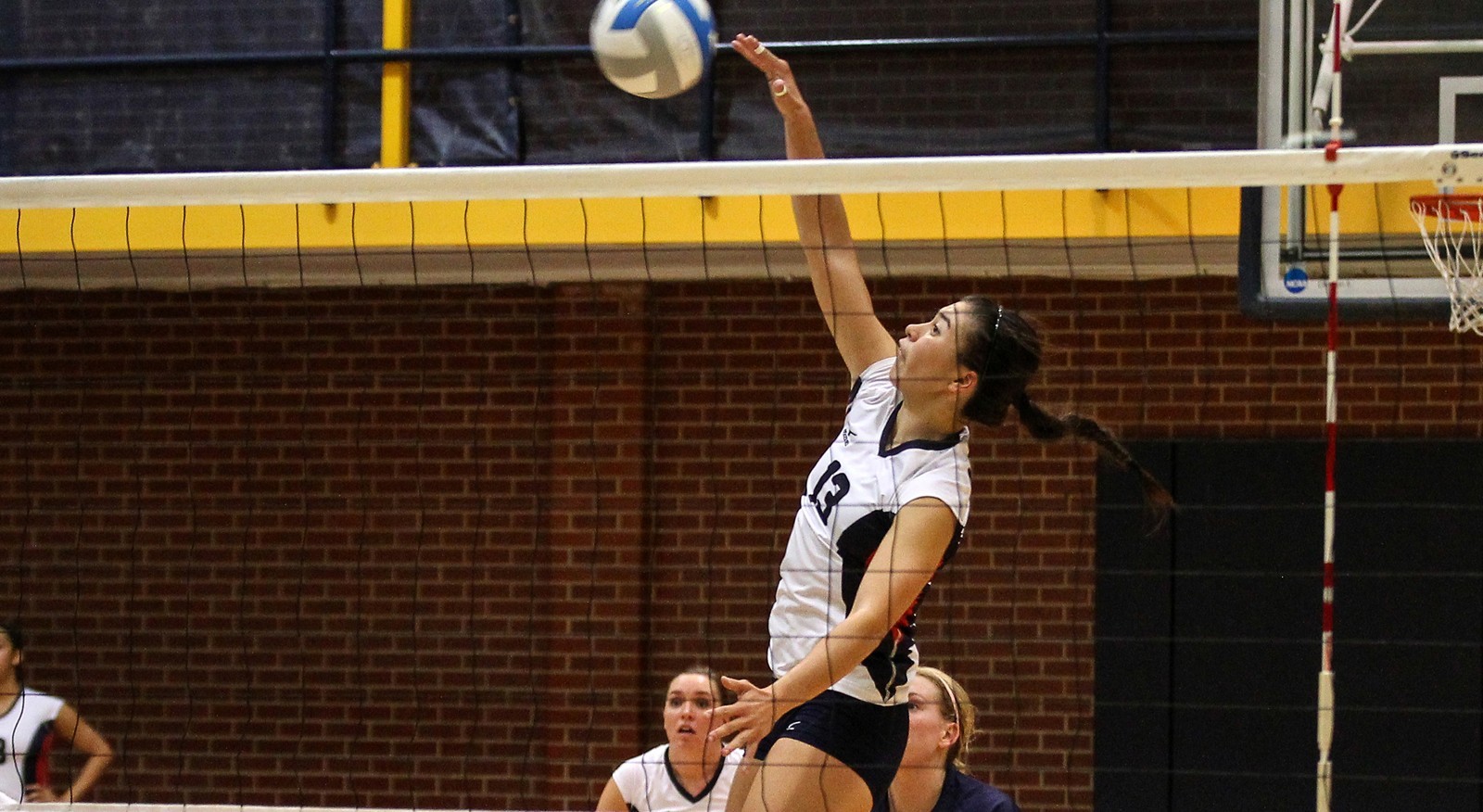 Kylie Haun Women's Volleyball MSU Denver Athletics