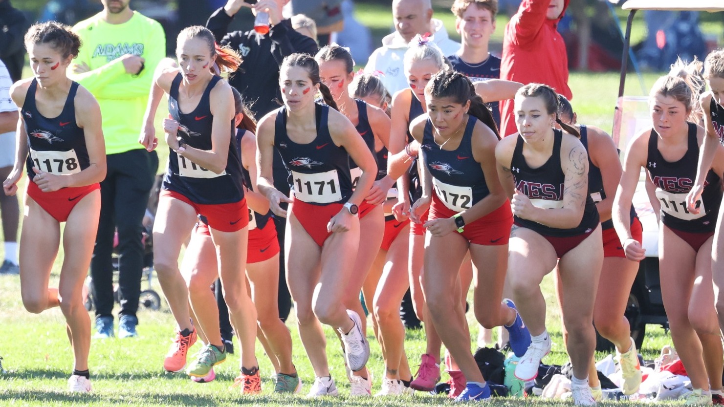 Members of the MSU Denver women's cross country team at the start of the Roadrunners Invitational on Sept. 21, 2024.