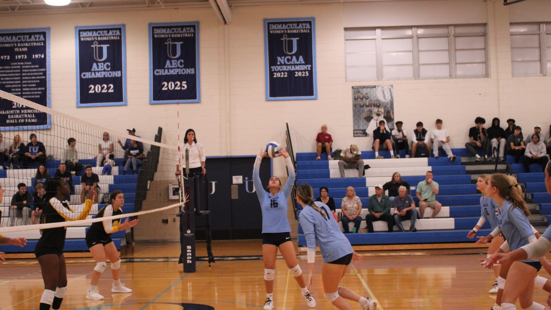 Angelica Santini Bulerin