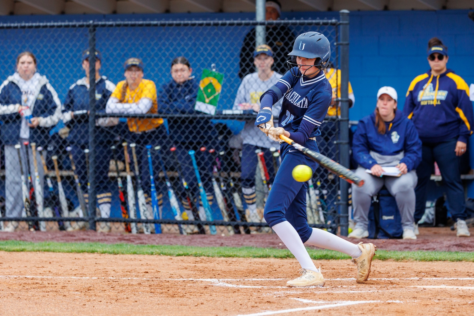 IUSB 2025 DR M Formica slap hit