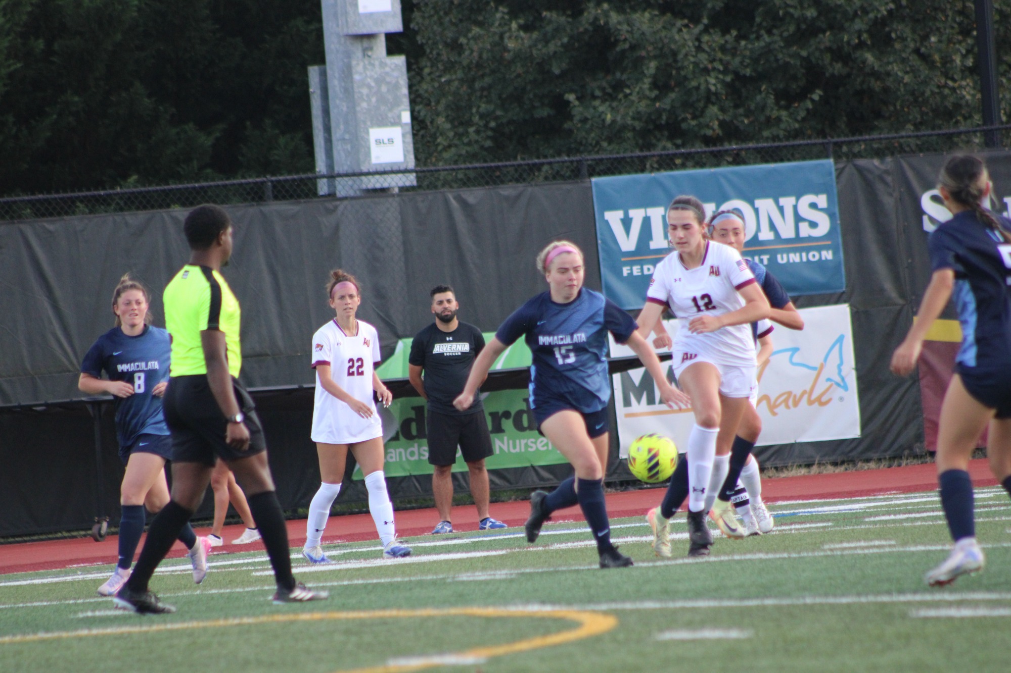 Natalie D'Alfanso vs Alvernia 