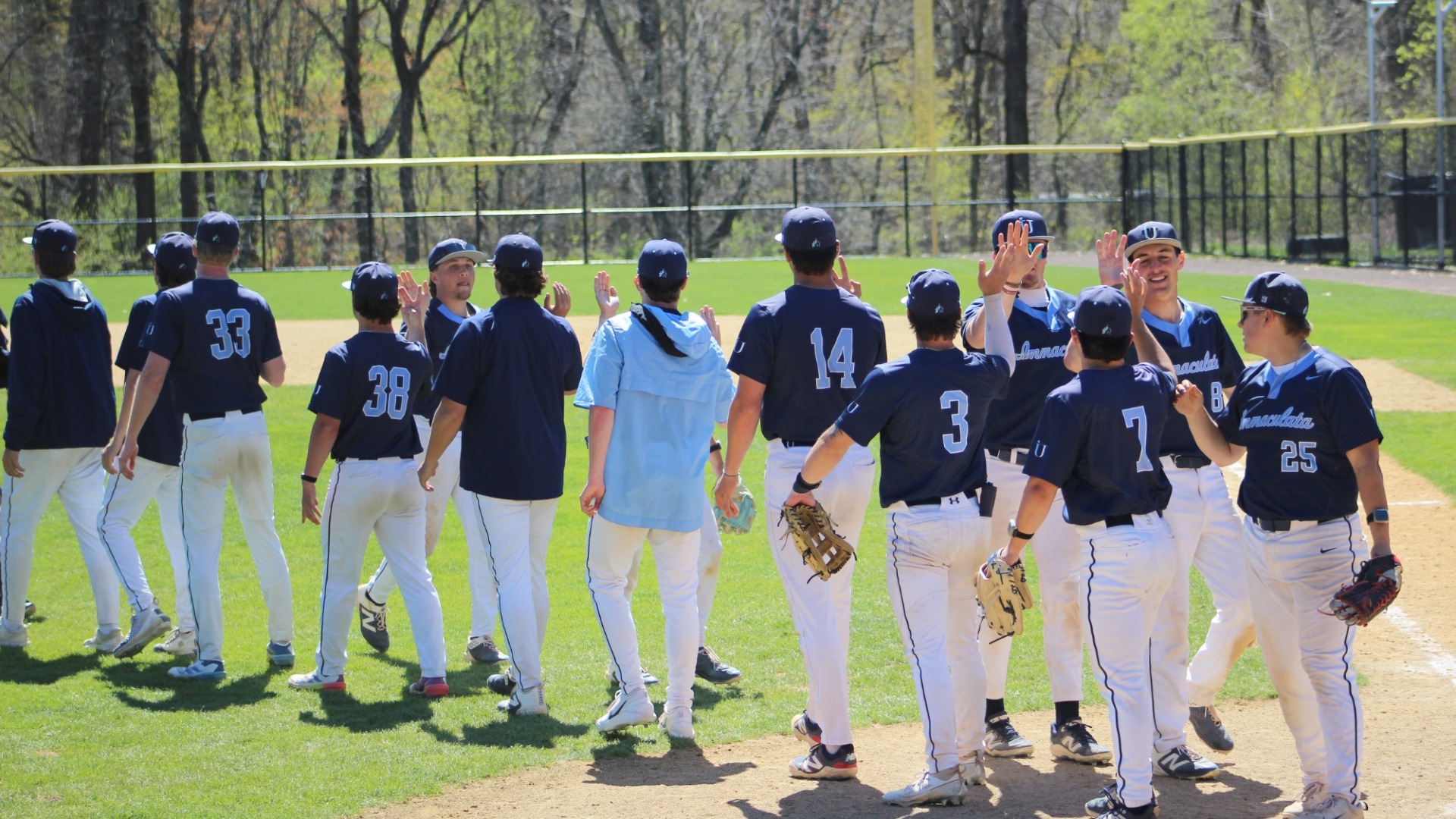 BASE vs. Neumann