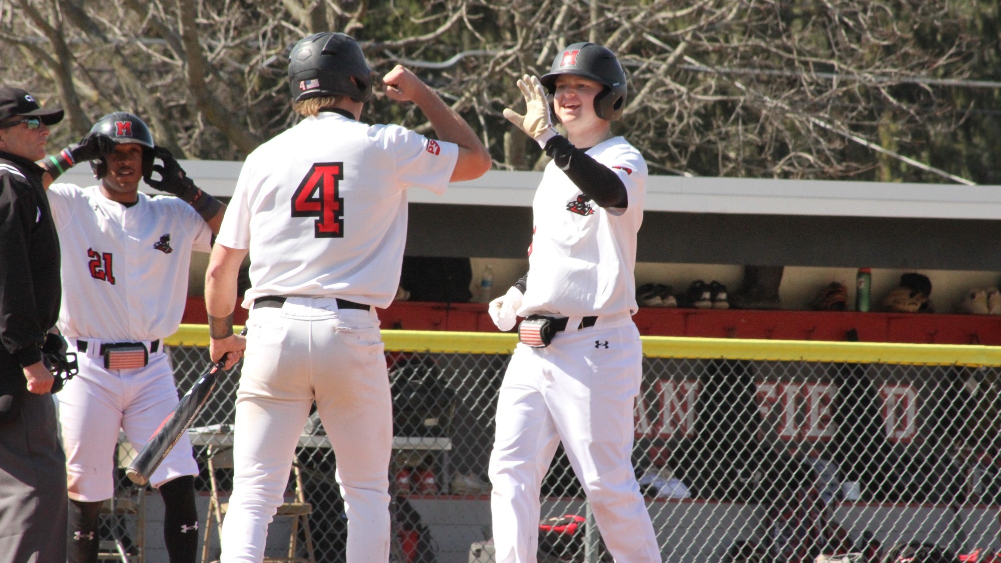 Josh Farina Baseball Mansfield University Athletics
