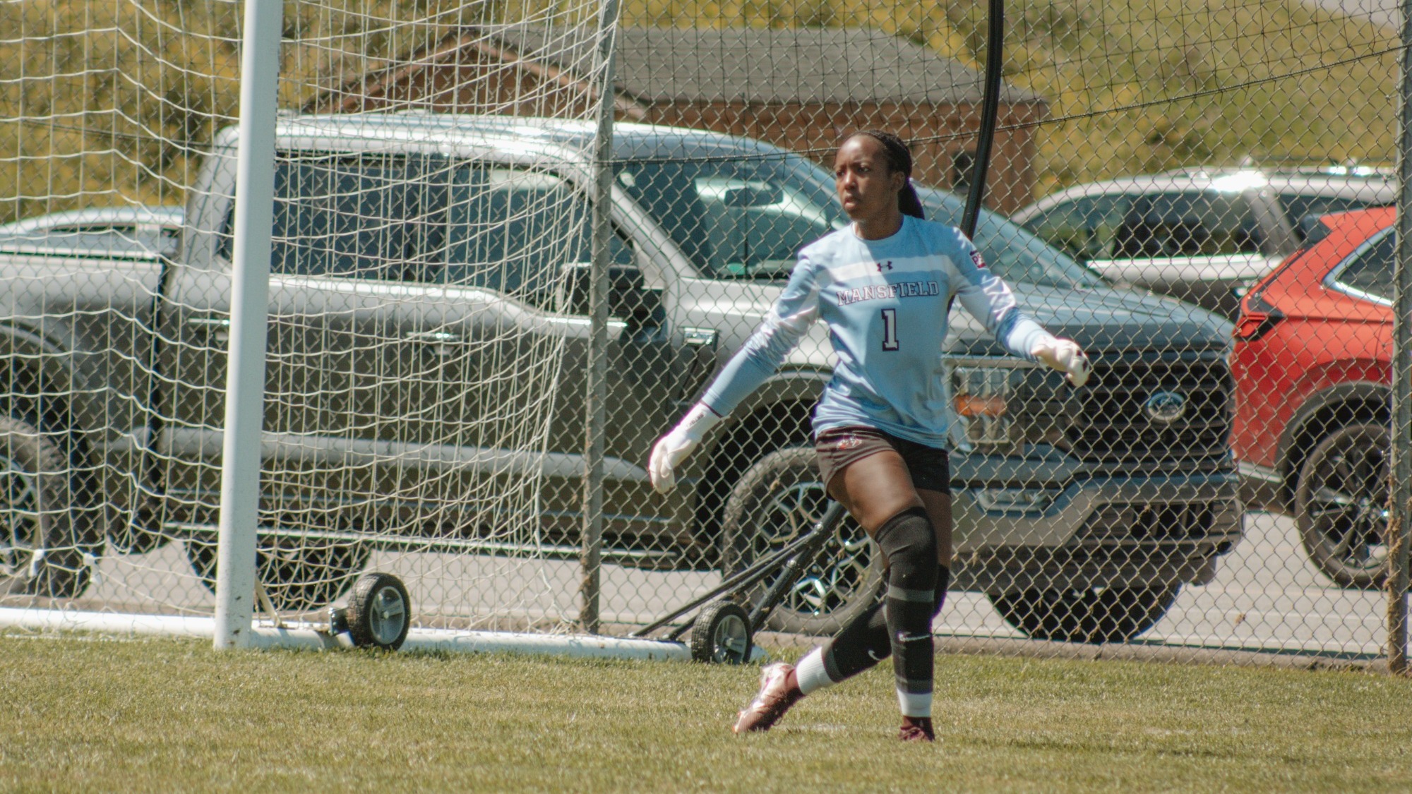 Angel Gulè save vs shepherd