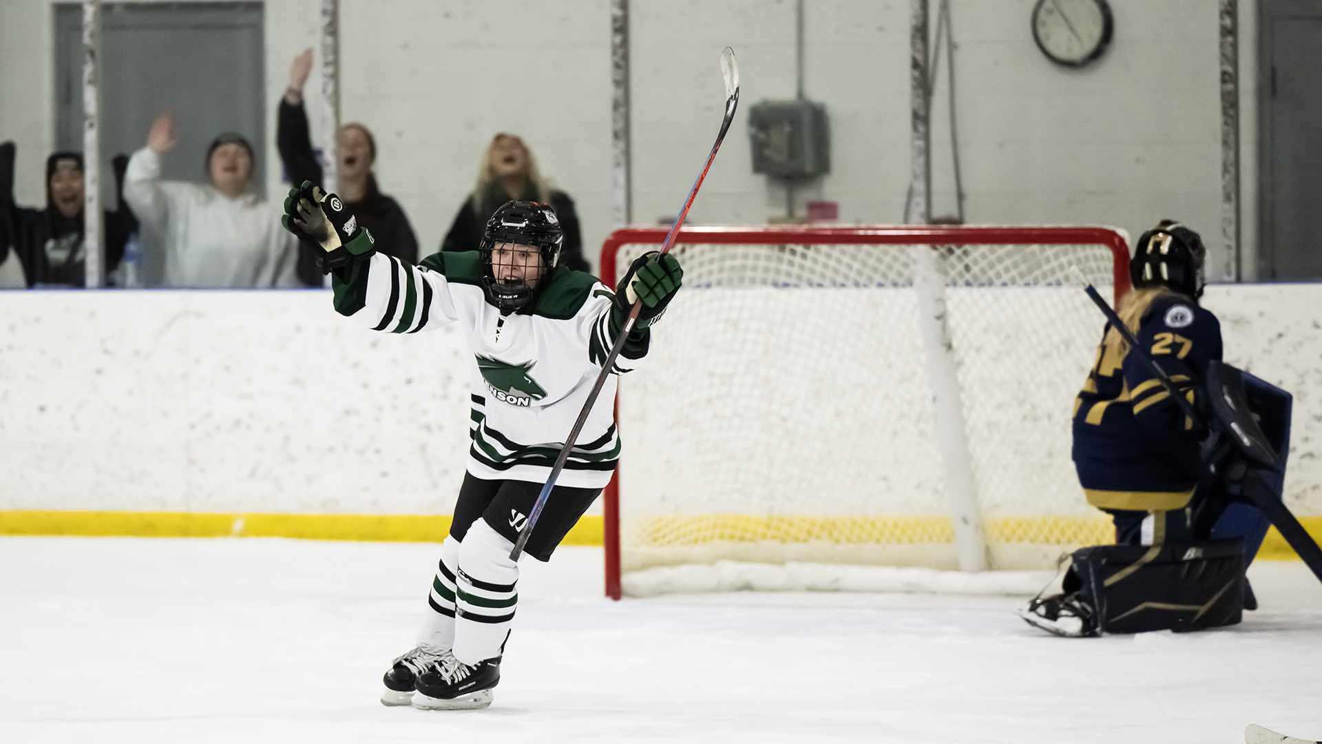 Hannah Labbe 202223 Women's Ice Hockey Stevenson University