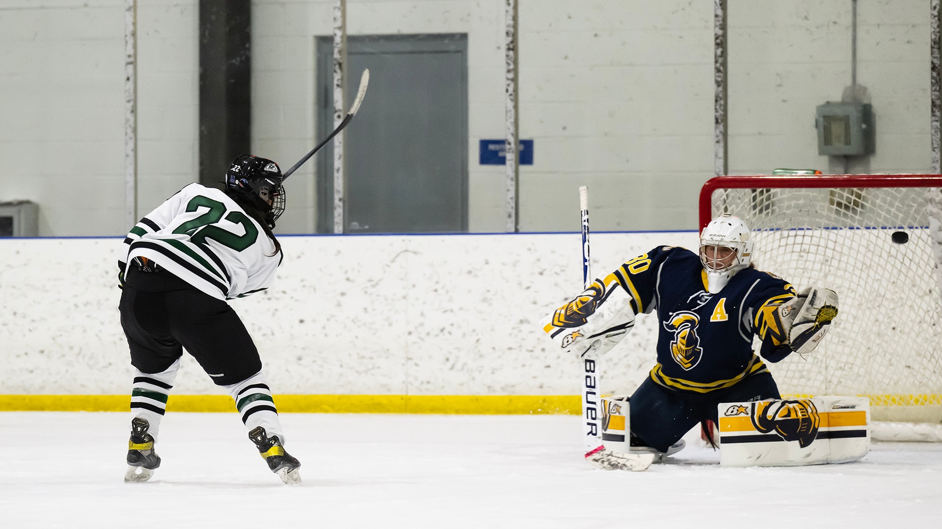 Karly Aguirre 202223 Women's Ice Hockey Stevenson University