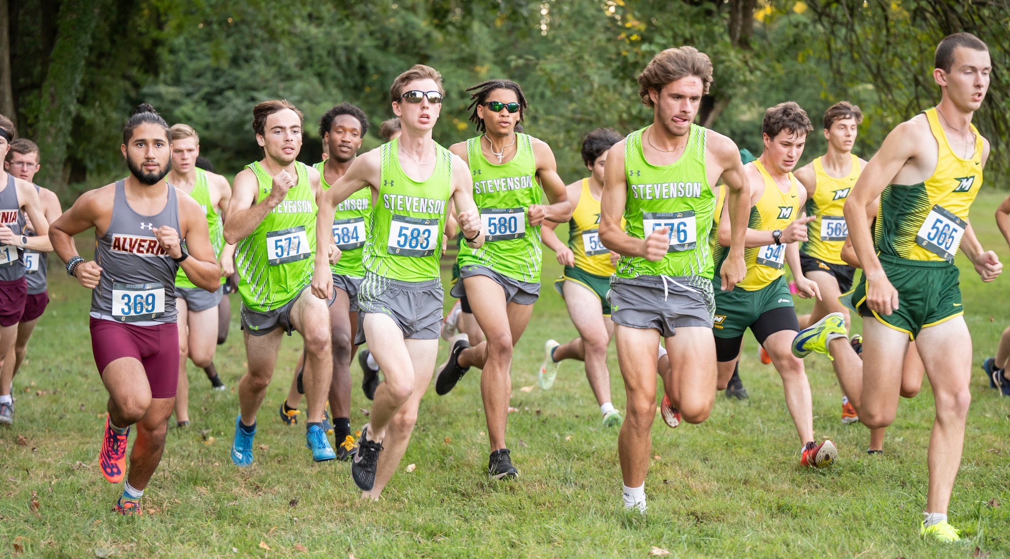 XC Men's team