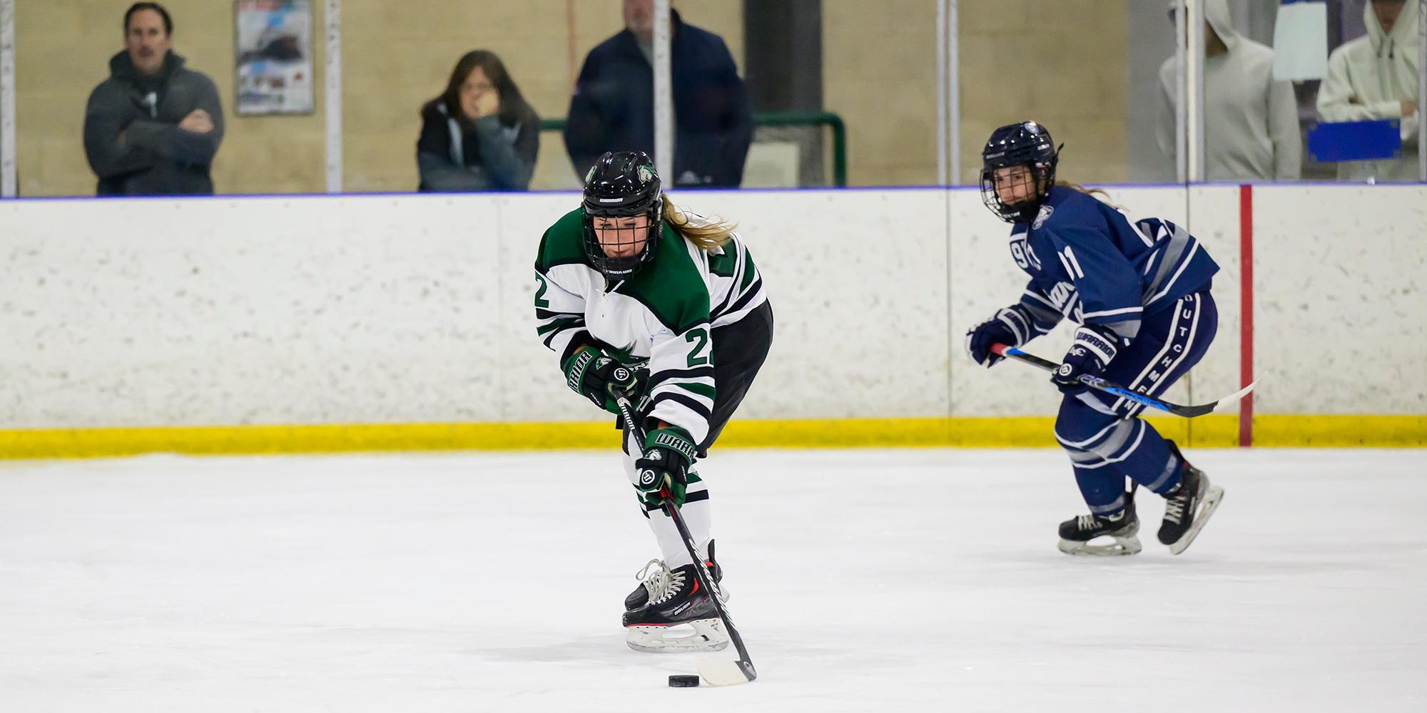 Carleigh Barwick 202324 Women's Ice Hockey Stevenson University