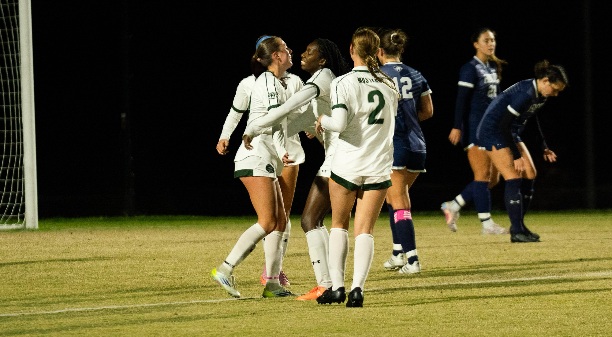 Fanning goal celebration