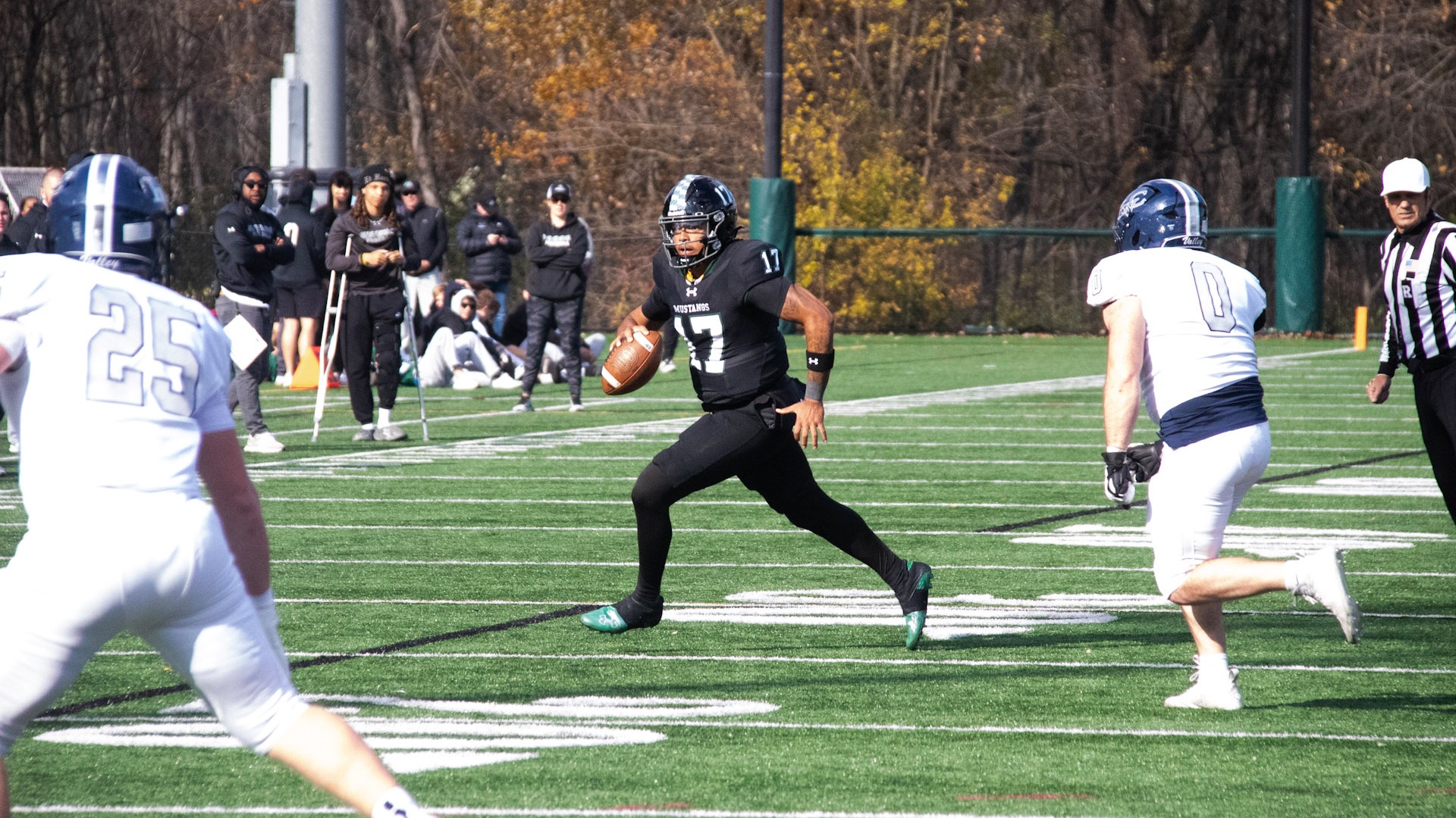 Football at Albright 11-8