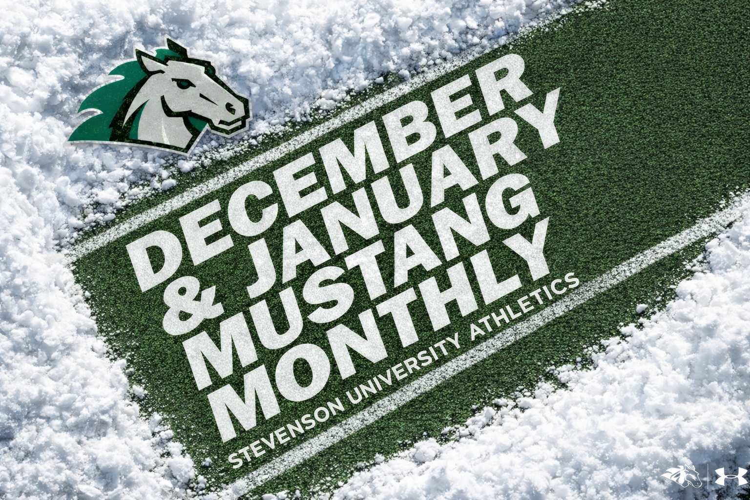 dec mustang monthly