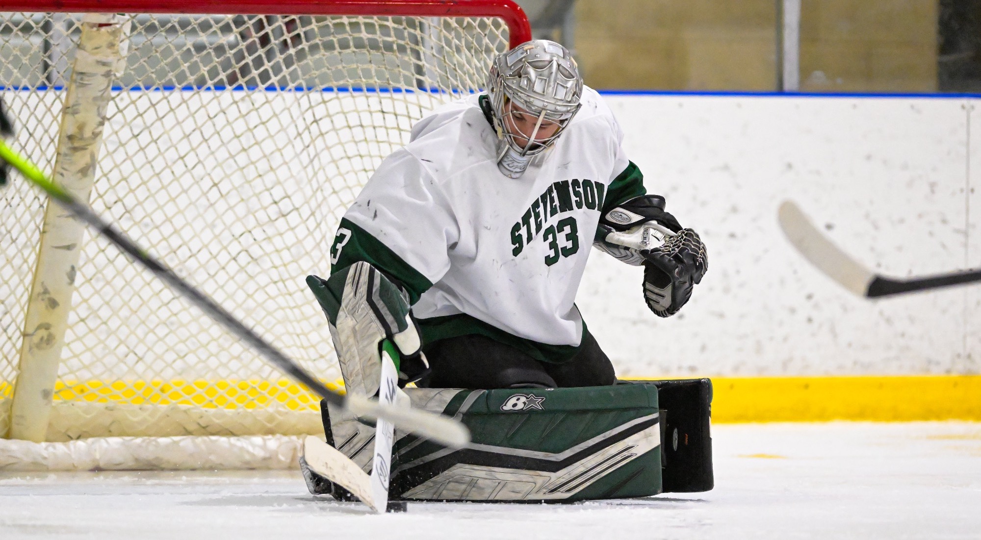 DeLoss making a save