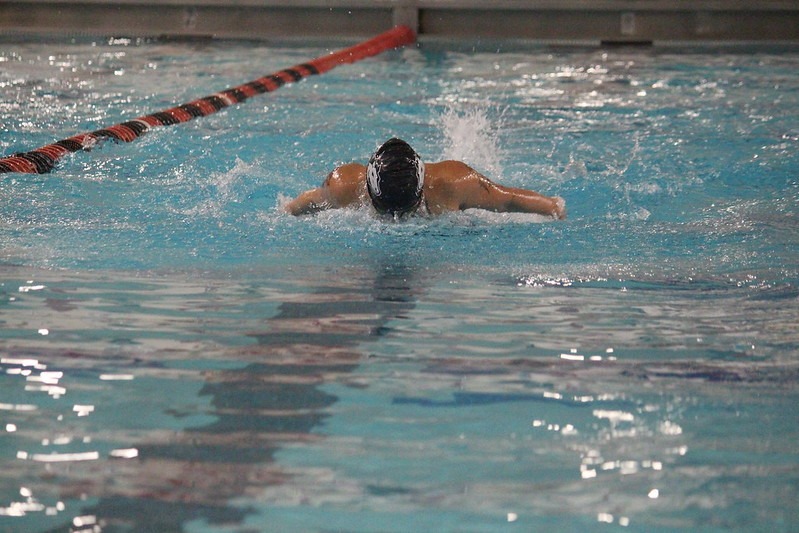 men's swimming