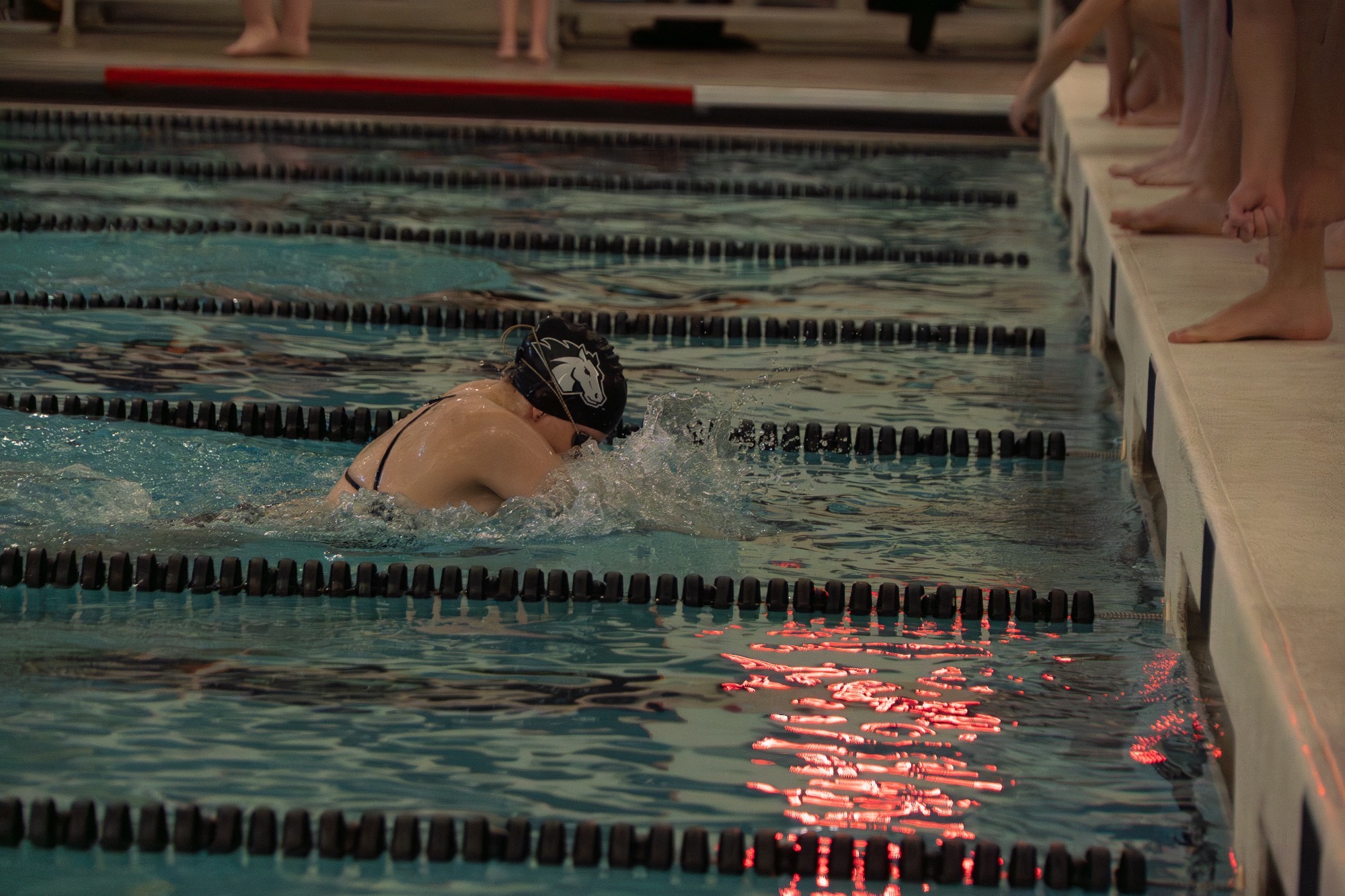 Swim 1.24 cover image