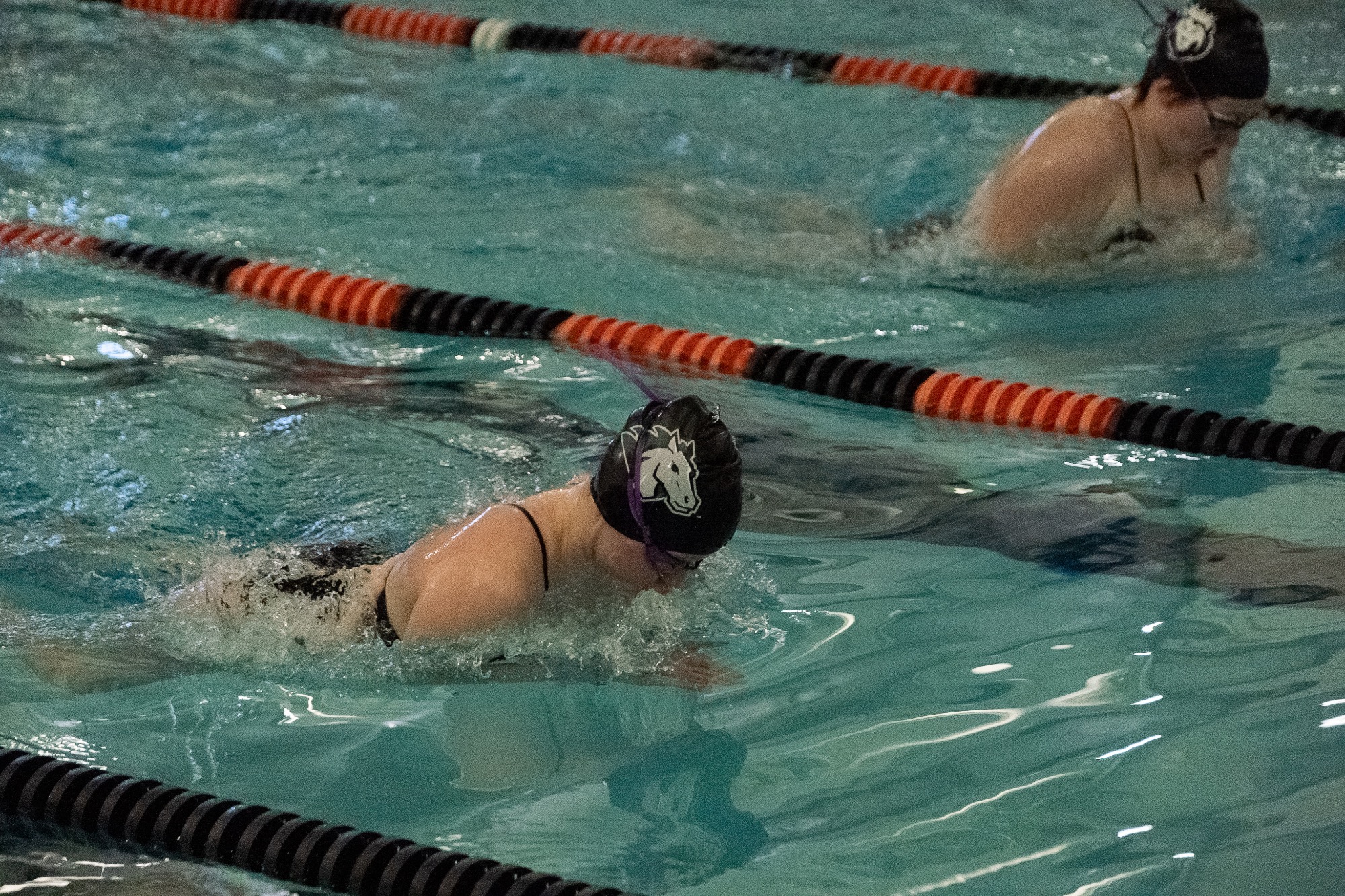 Swim 1/9 women story photo