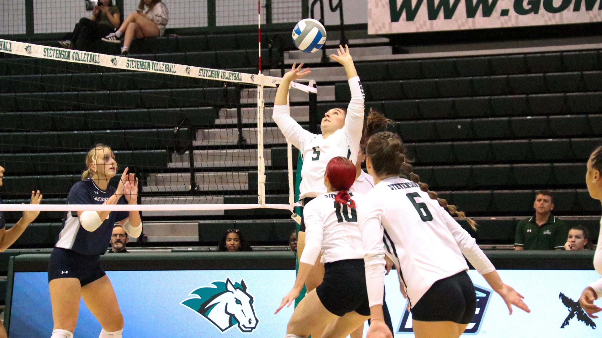 Wvb win at Shannandoah