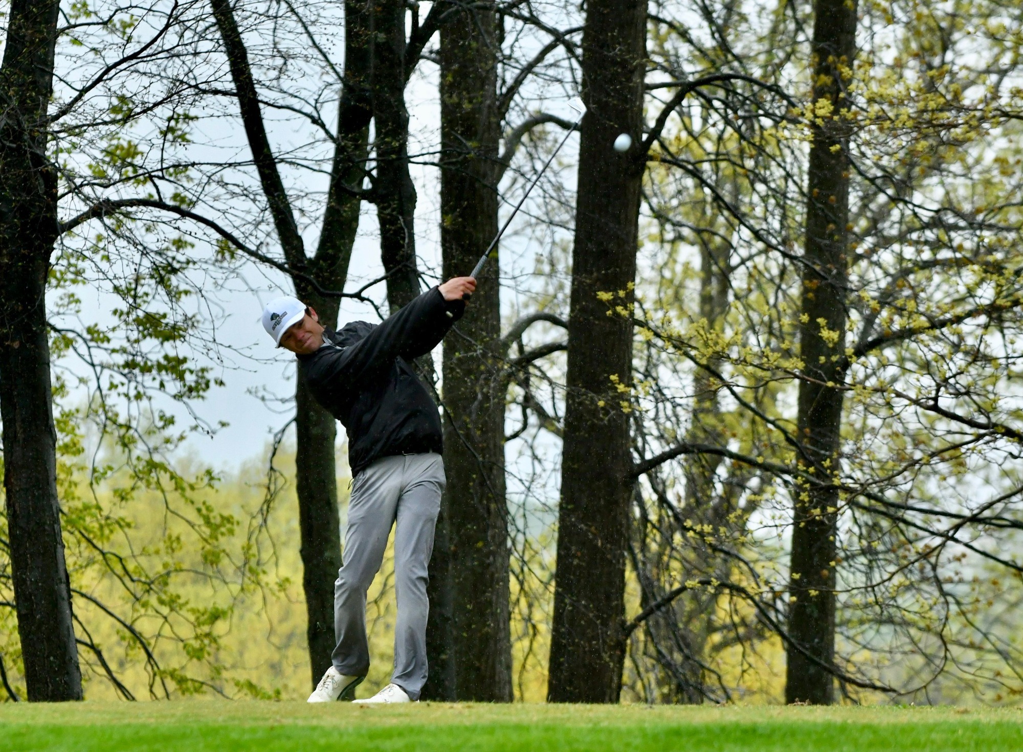Perez tree shot