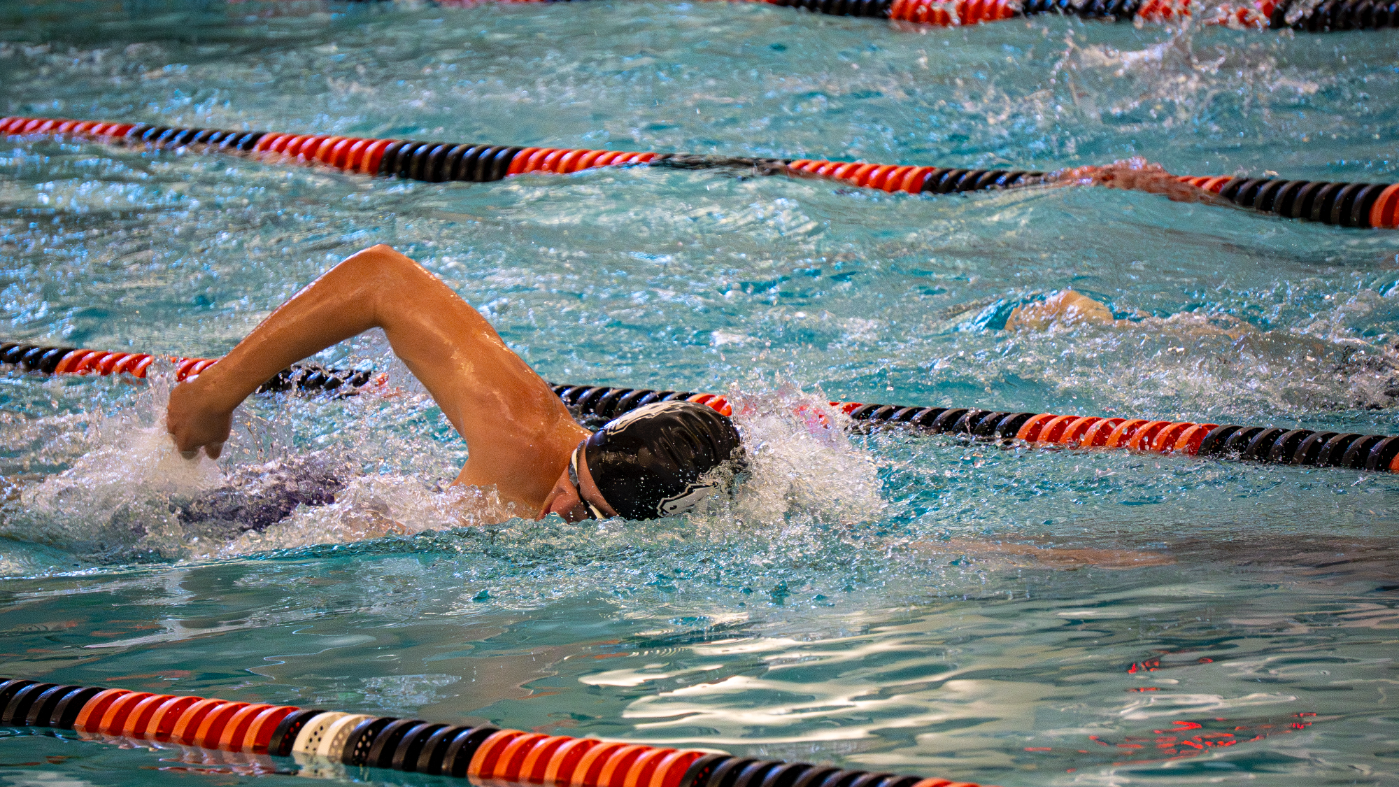 Lach swim