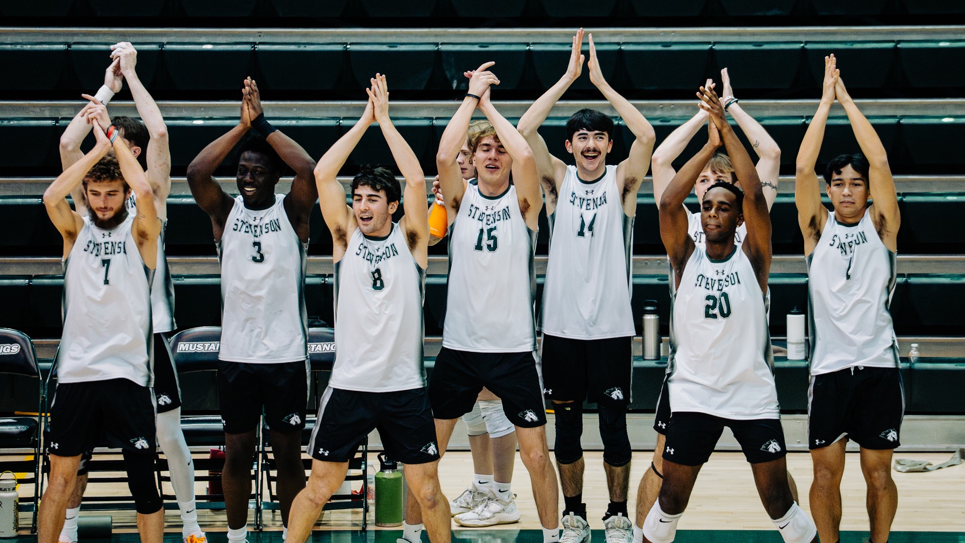 The bench performing their 