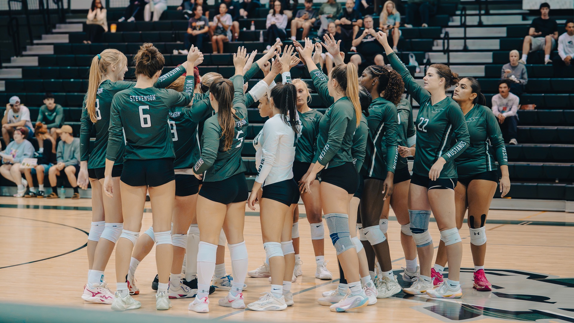 Women's Volleyball team huddle