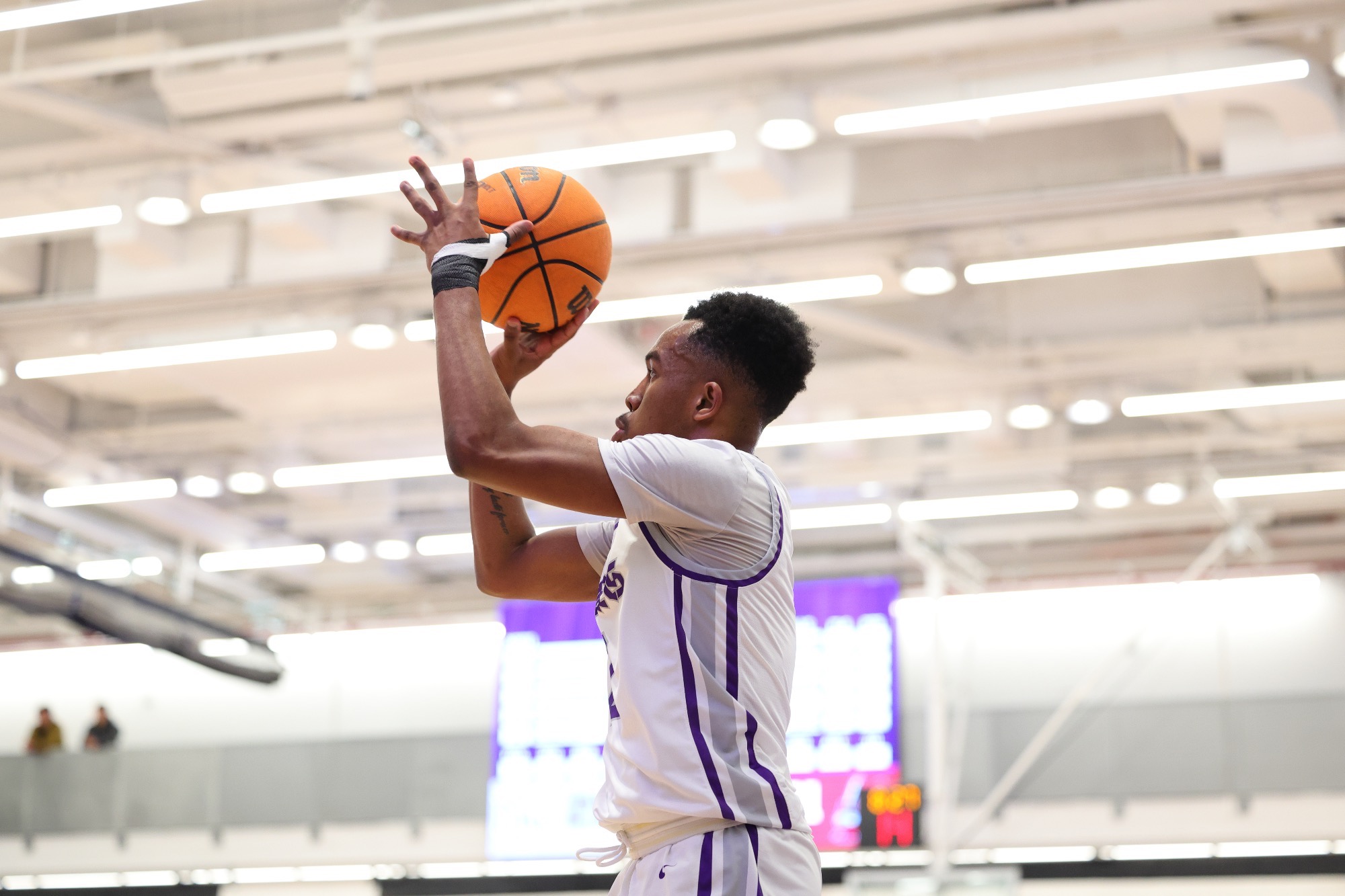 Hampton Sanders 202324 Men's Basketball NYU Athletics